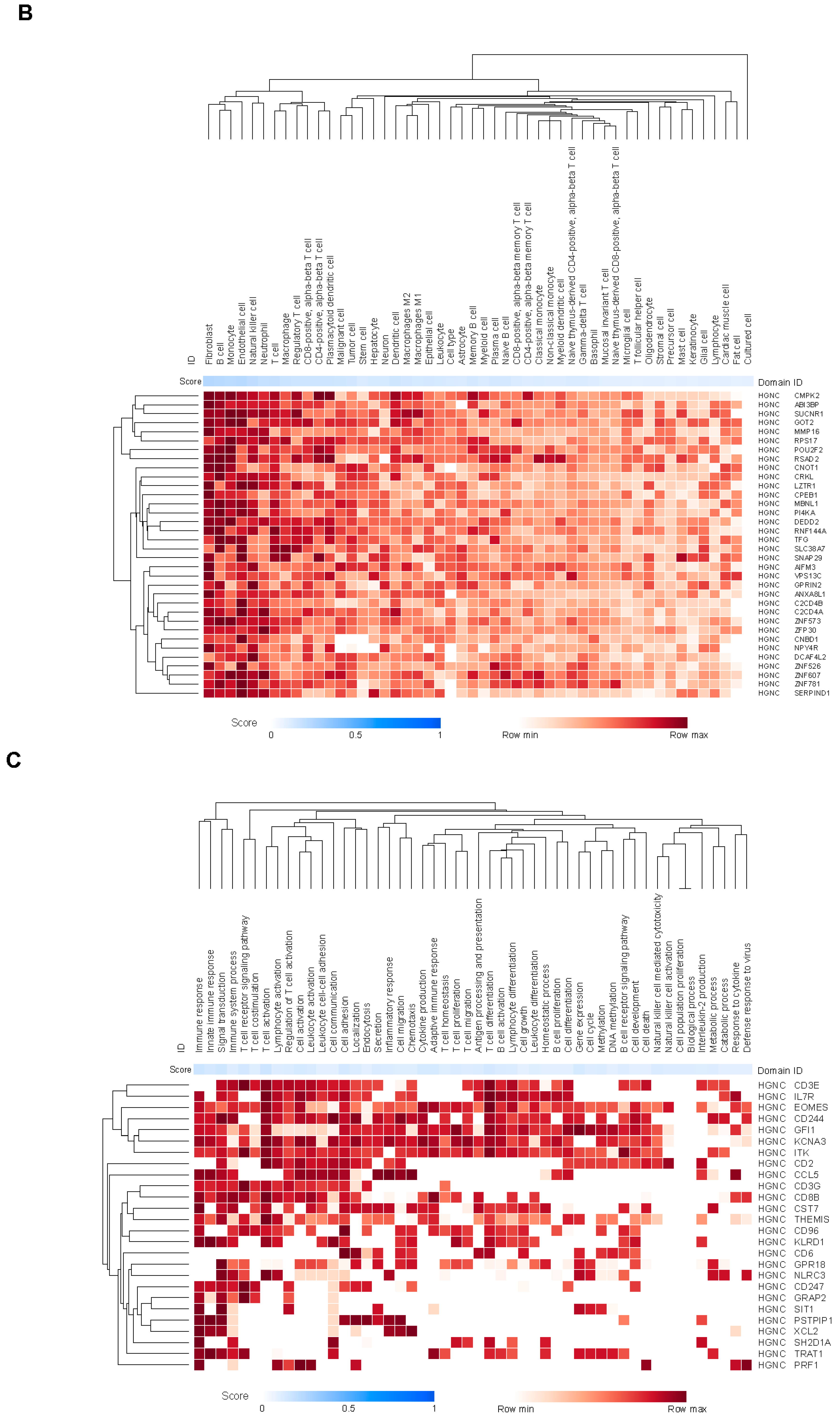 Preprints 155539 g002b