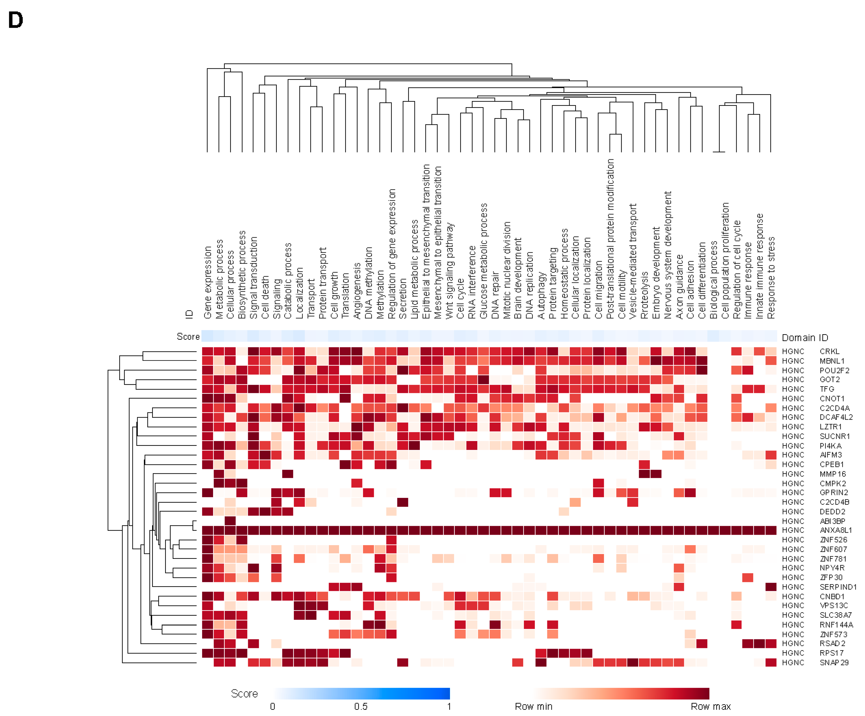 Preprints 155539 g002c
