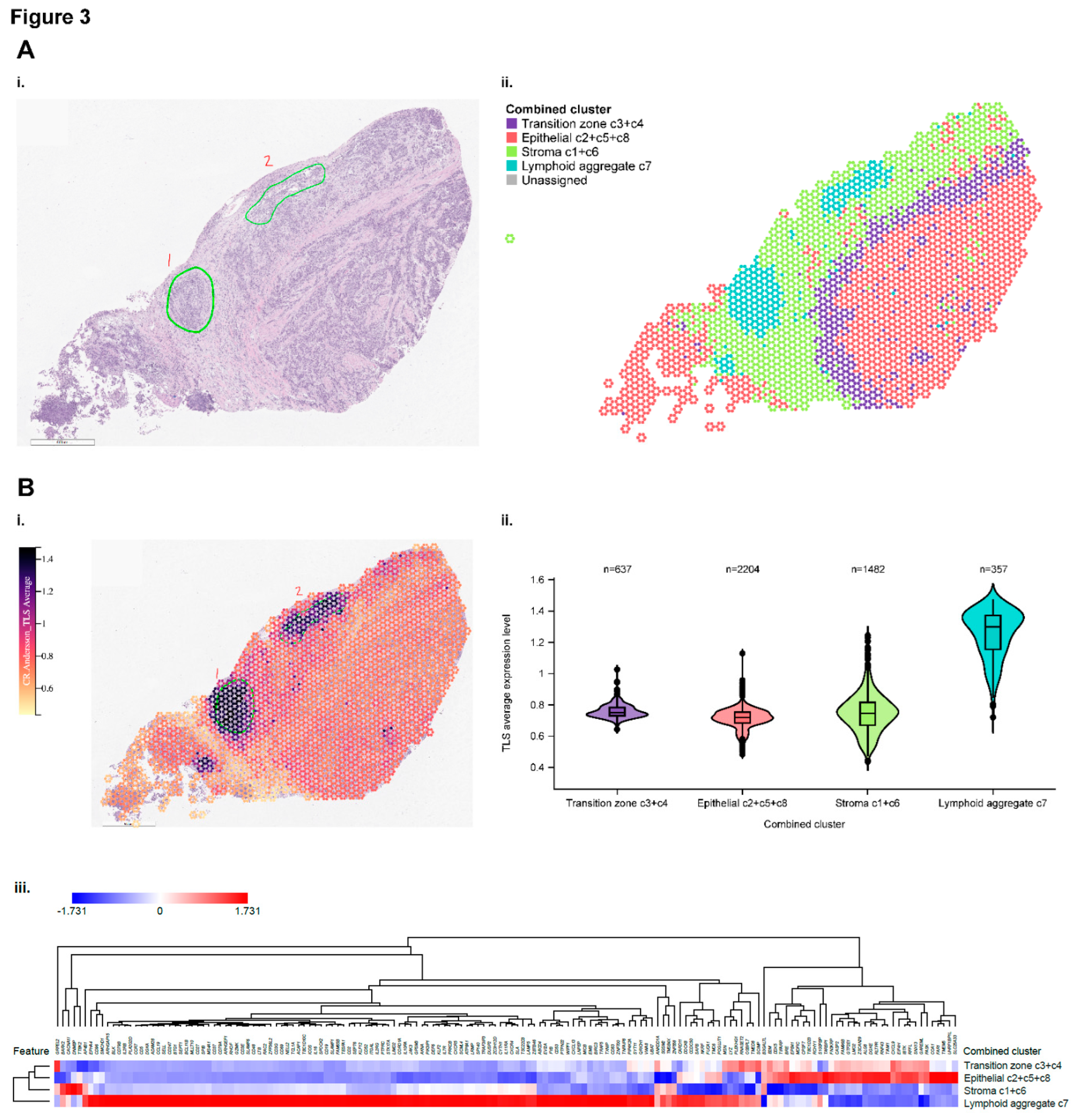 Preprints 155539 g003a