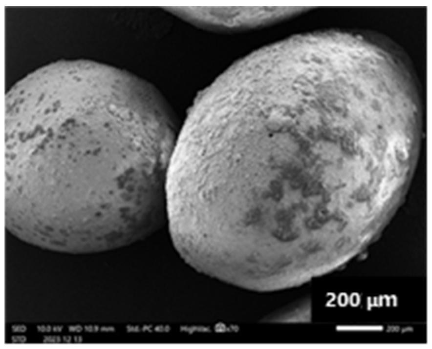 Preprints 197030 g001
