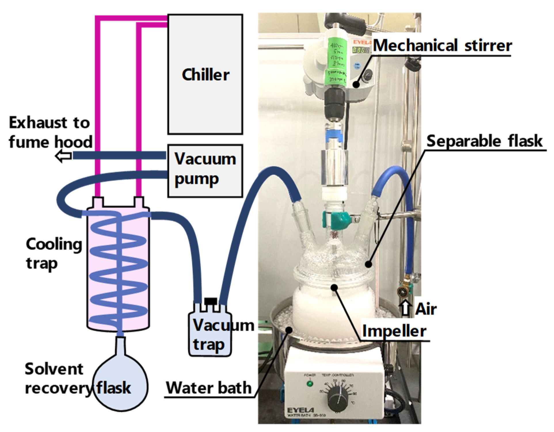 Preprints 197030 g004