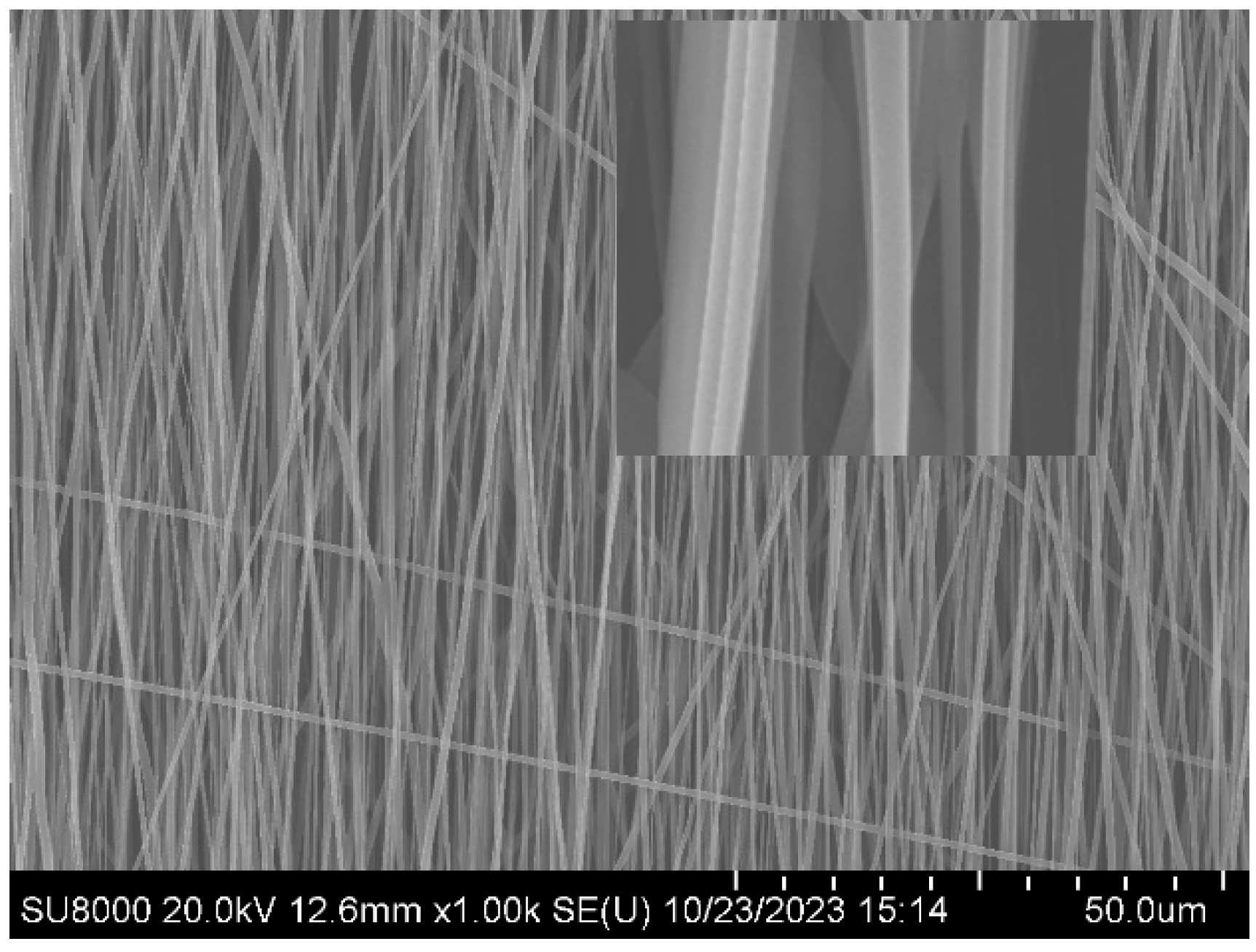 Preprints 97645 g001