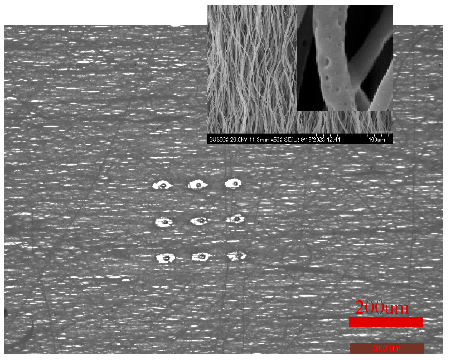 Preprints 97645 g008