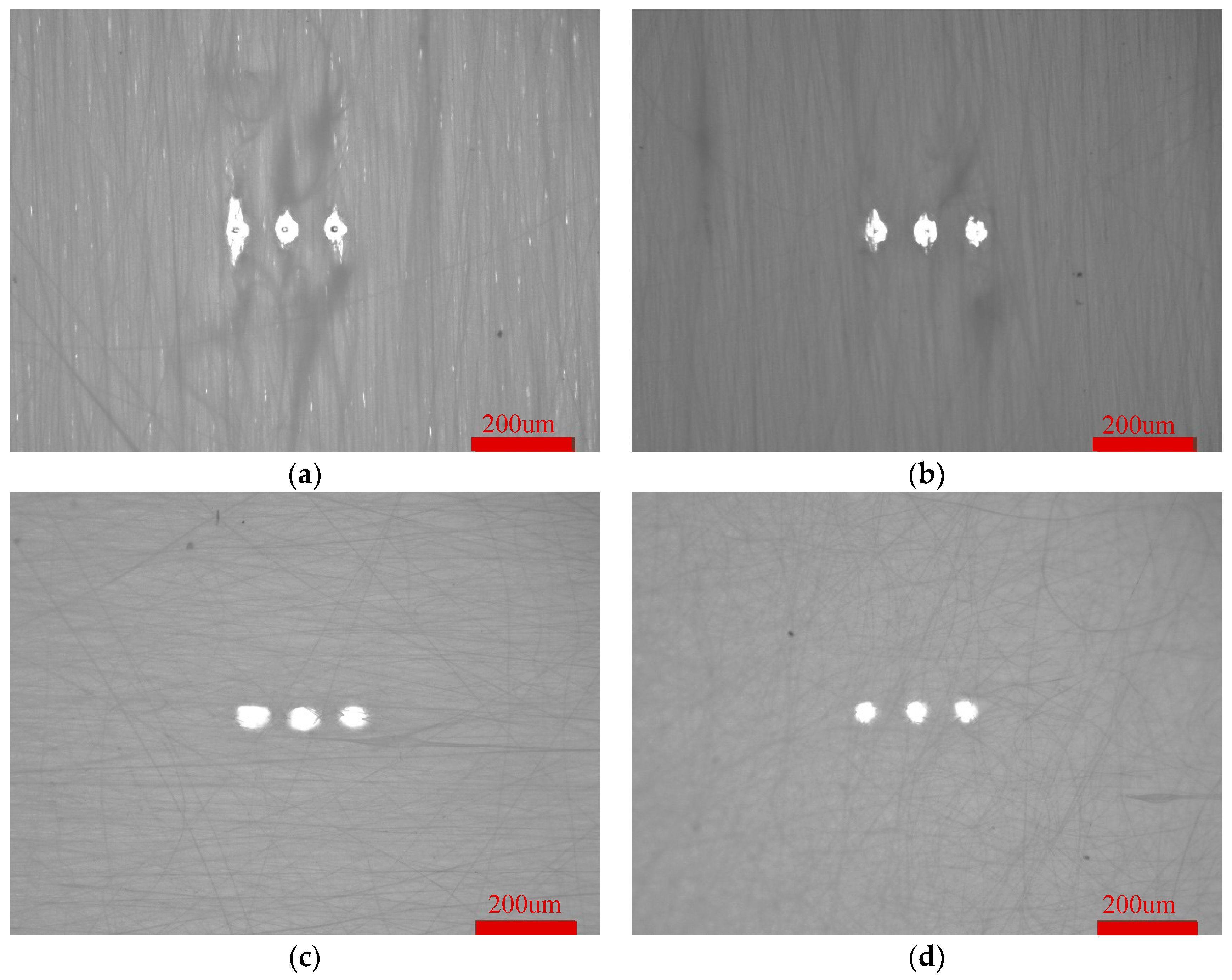 Preprints 97645 g009