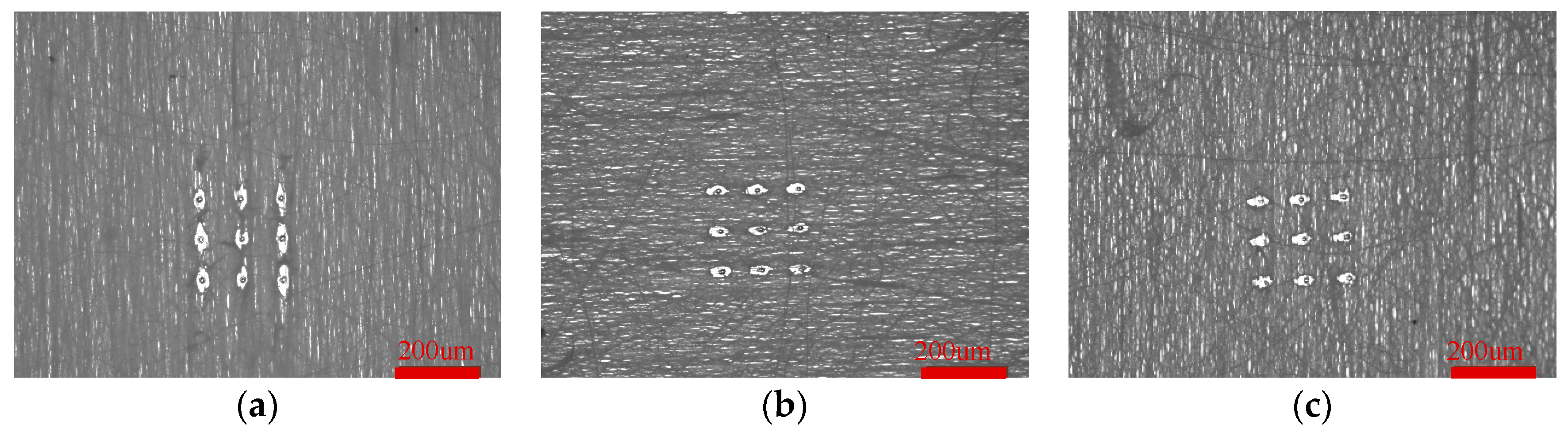 Preprints 97645 g010