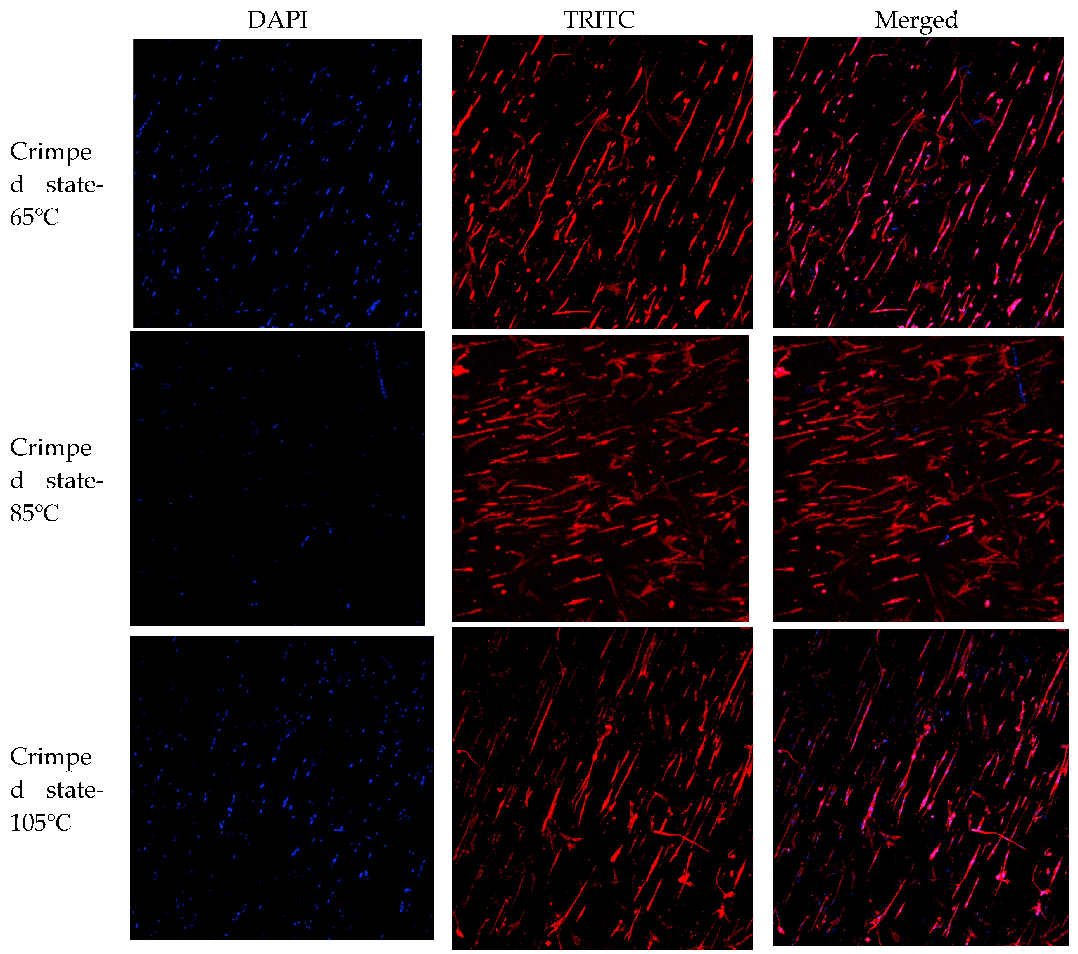 Preprints 97645 g011