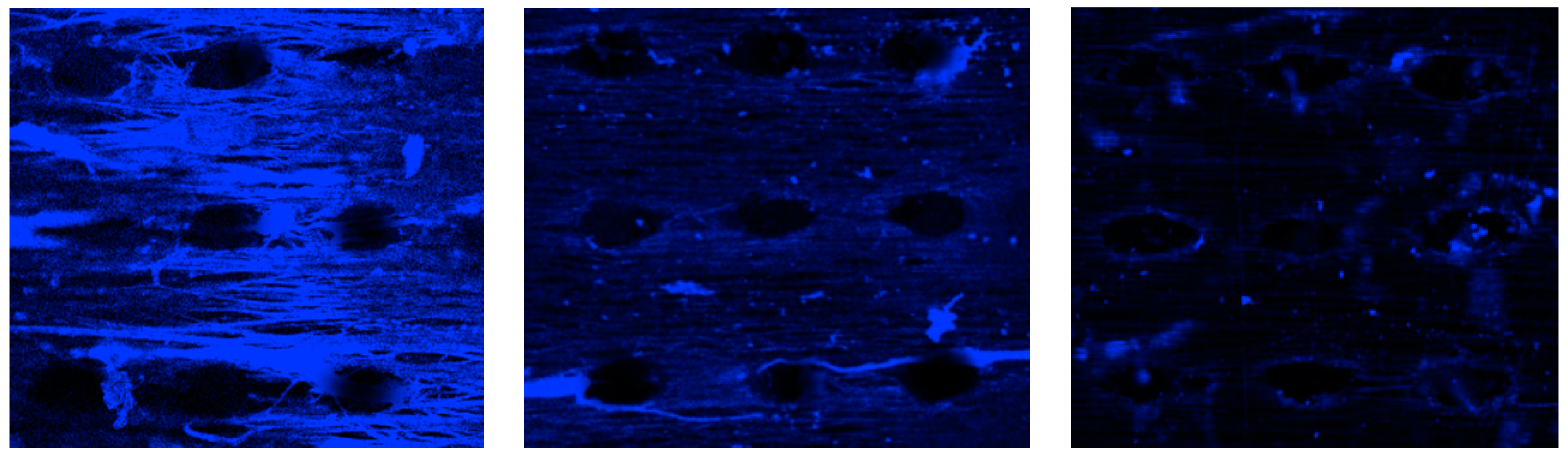 Preprints 97645 g012