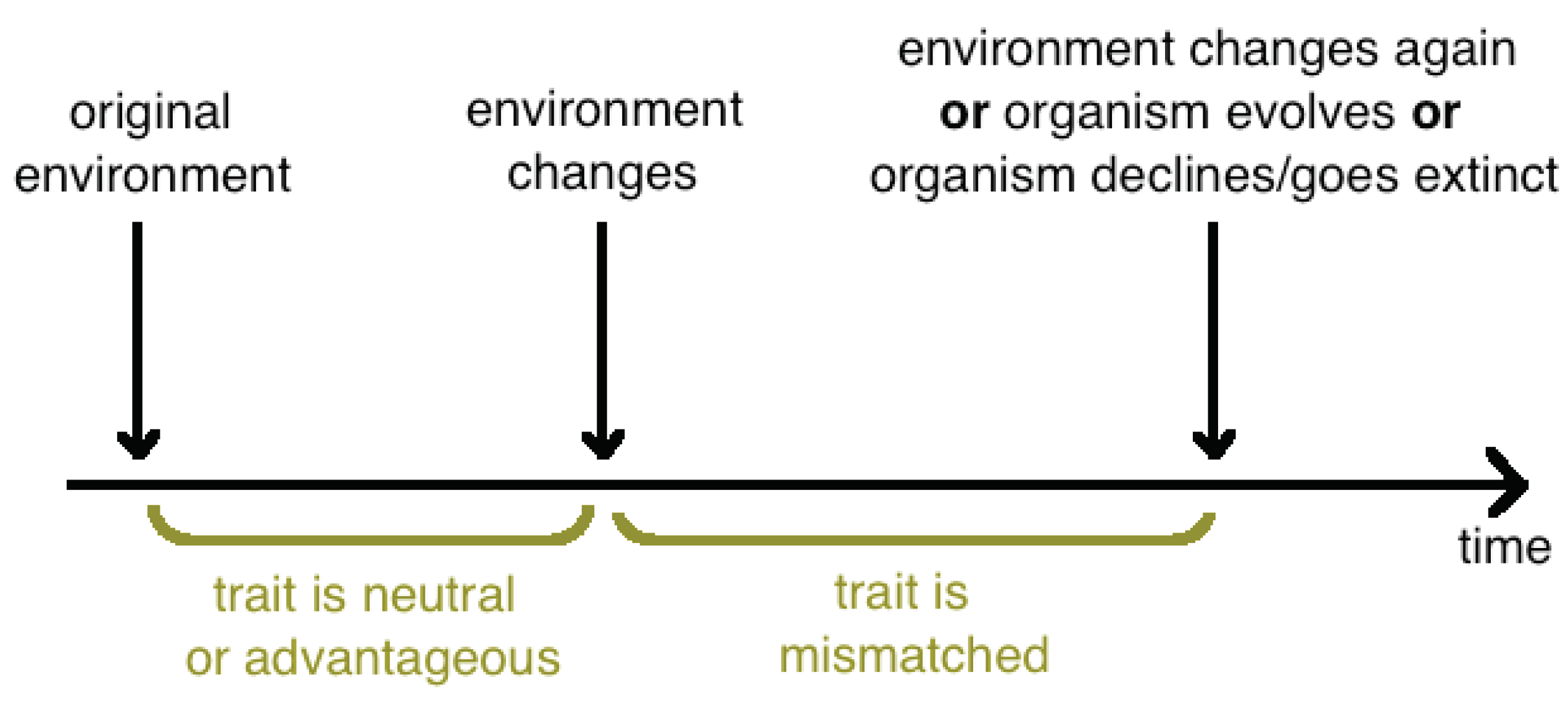 Preprints 67452 g002
