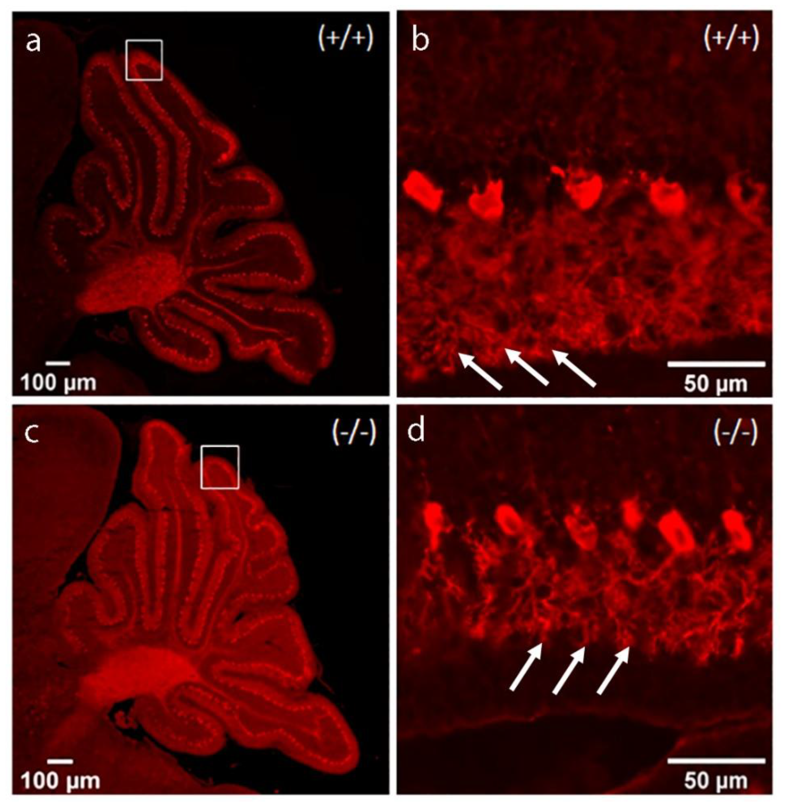 Preprints 174983 g009