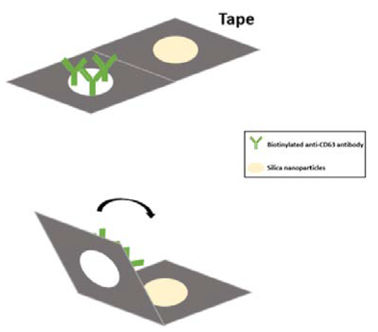 Preprints 72622 g001