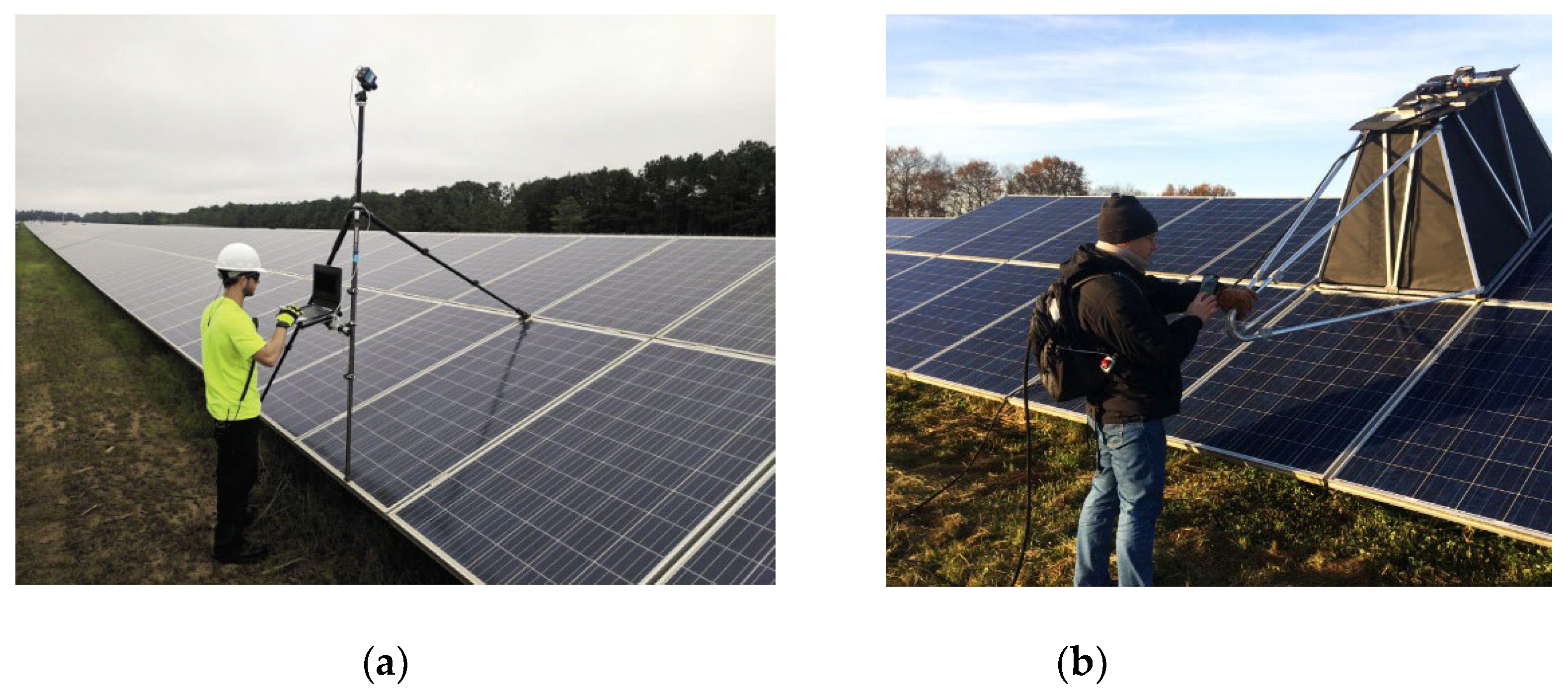 Preprints 152469 g003