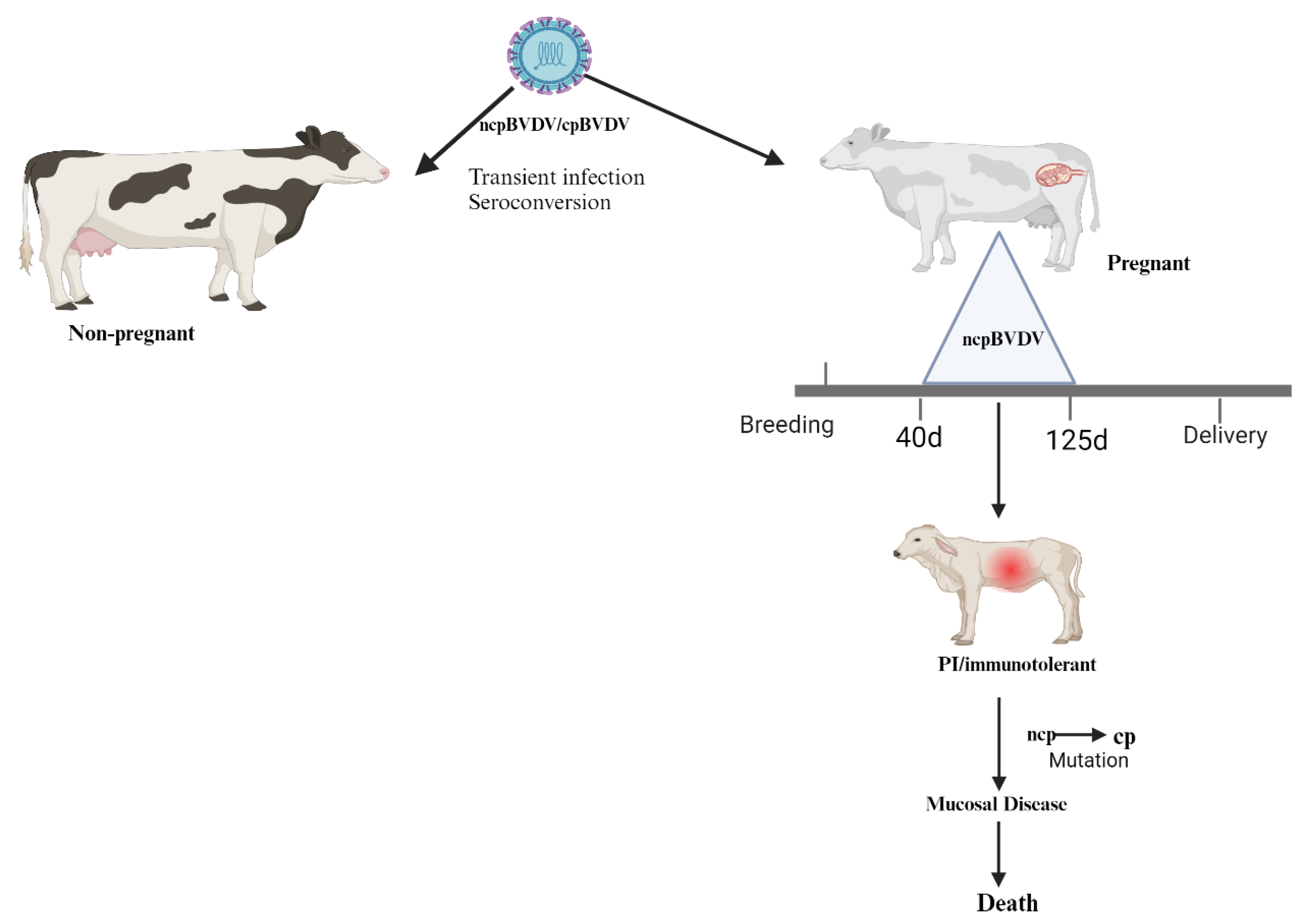 Preprints 145815 g001