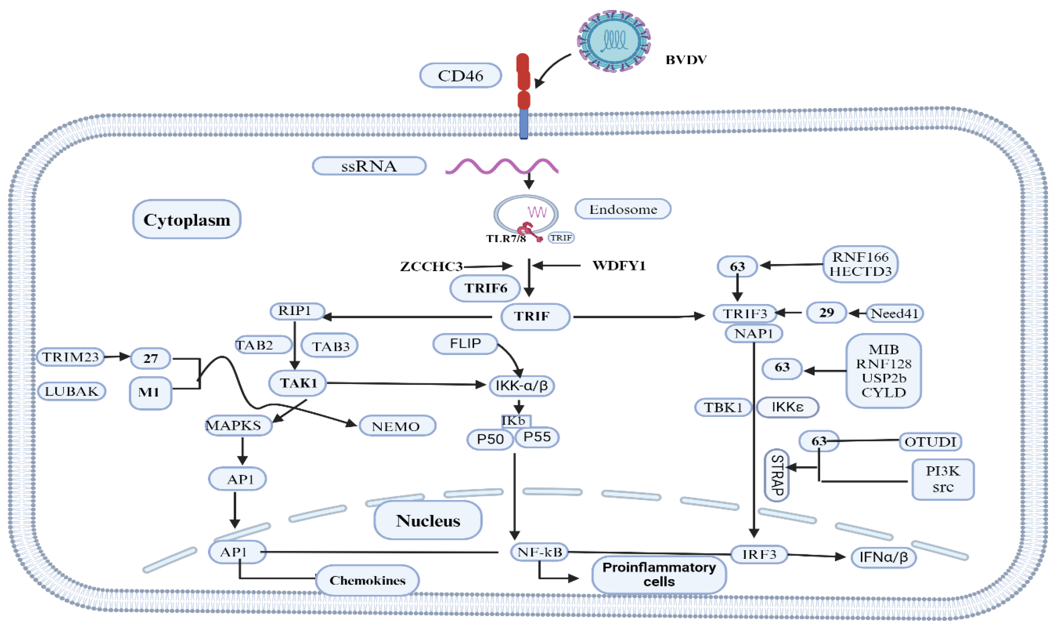 Preprints 145815 g002
