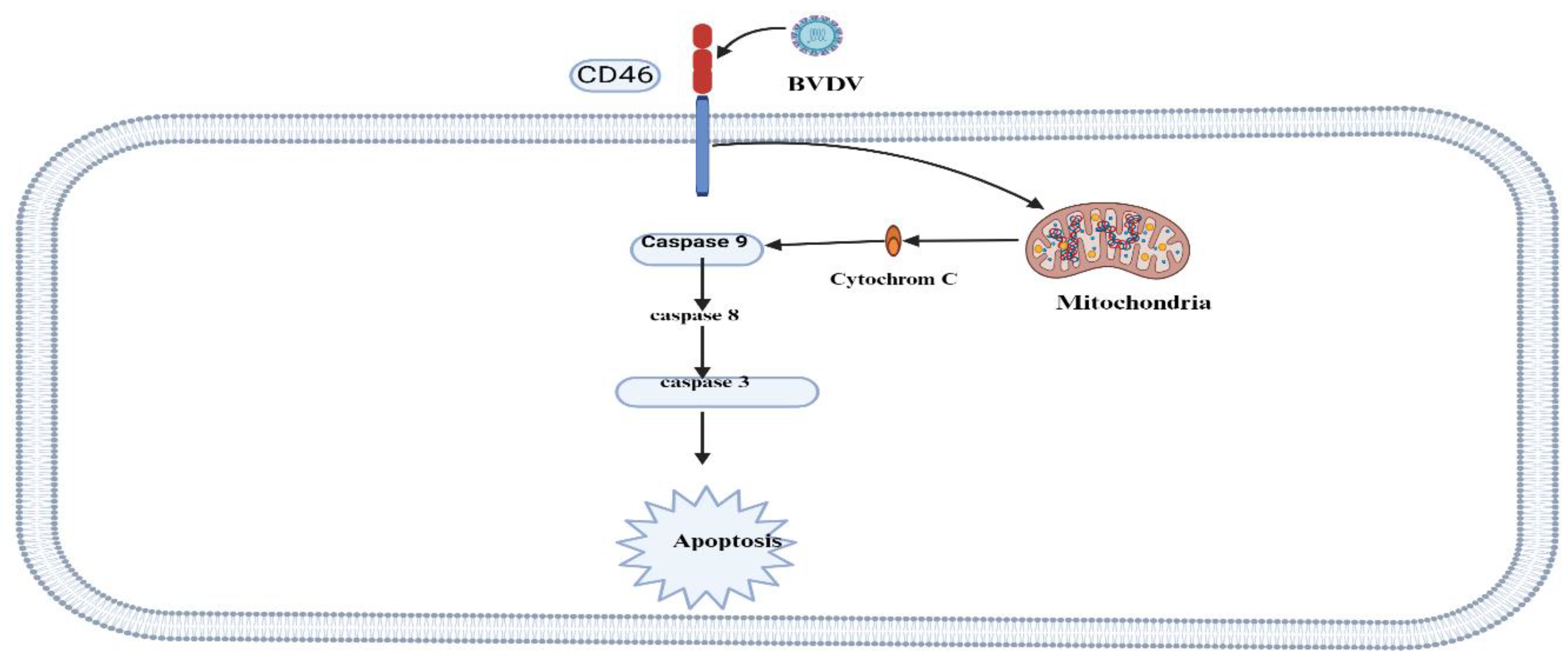 Preprints 145815 g003