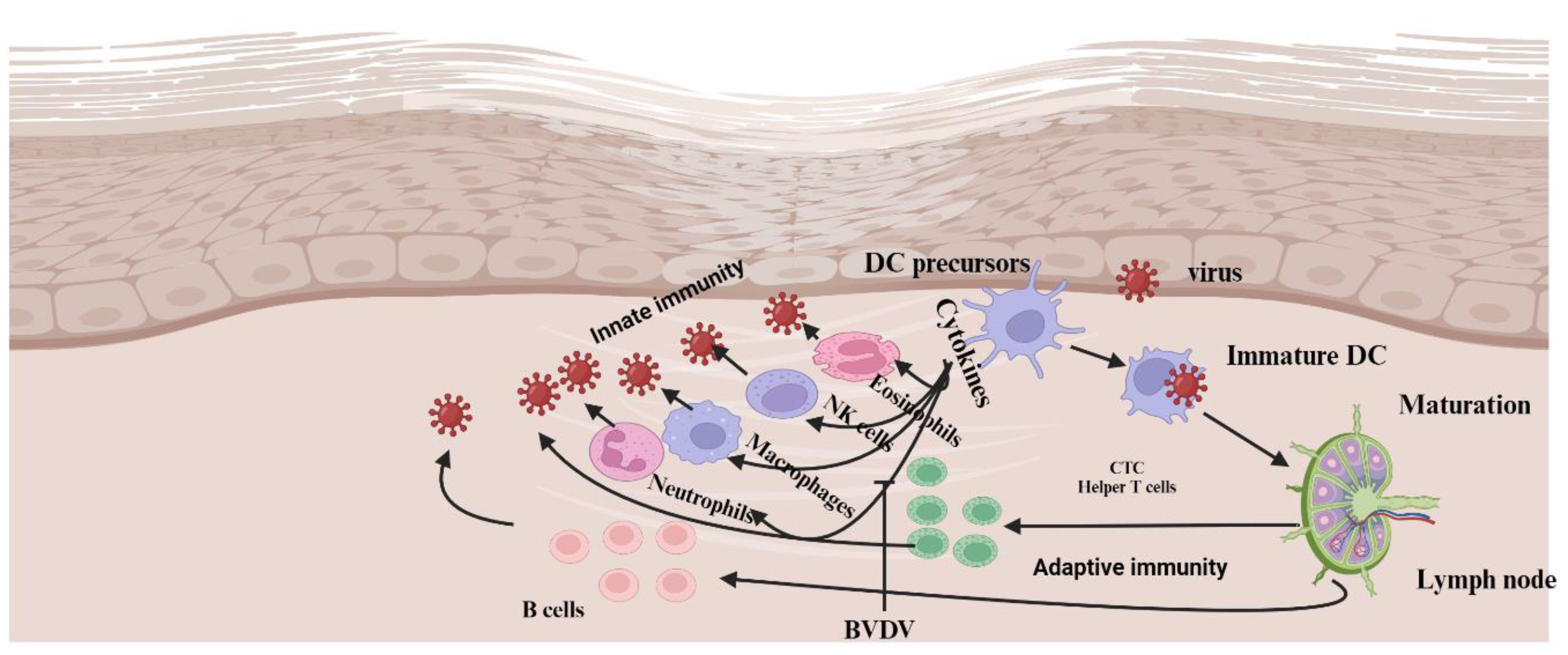 Preprints 145815 g004