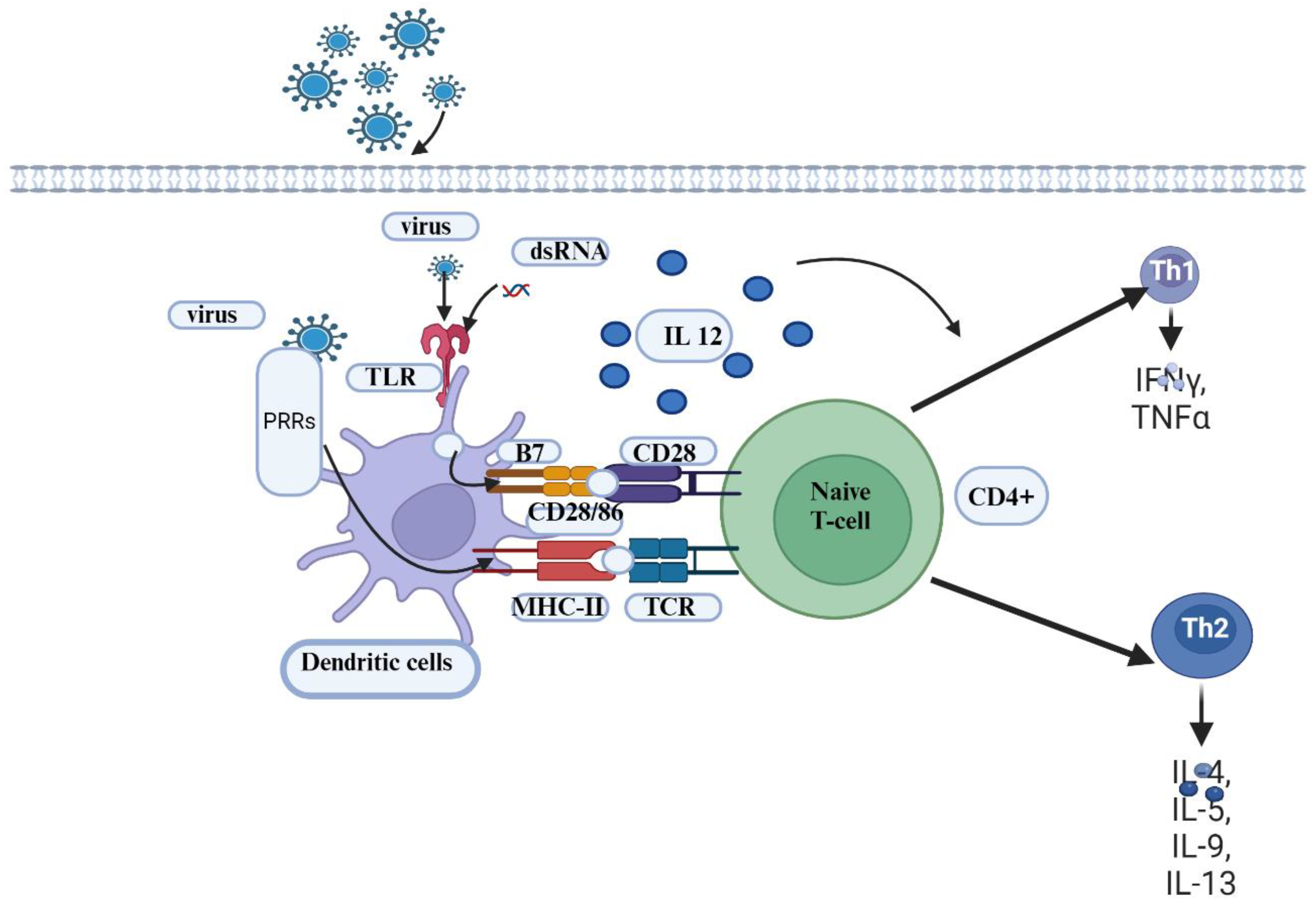 Preprints 145815 g006