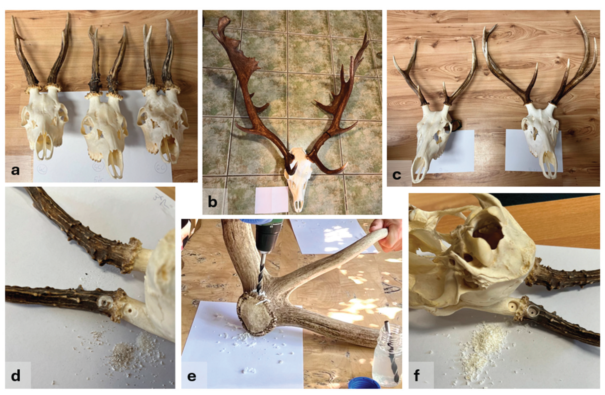 Preprints 174661 g001
