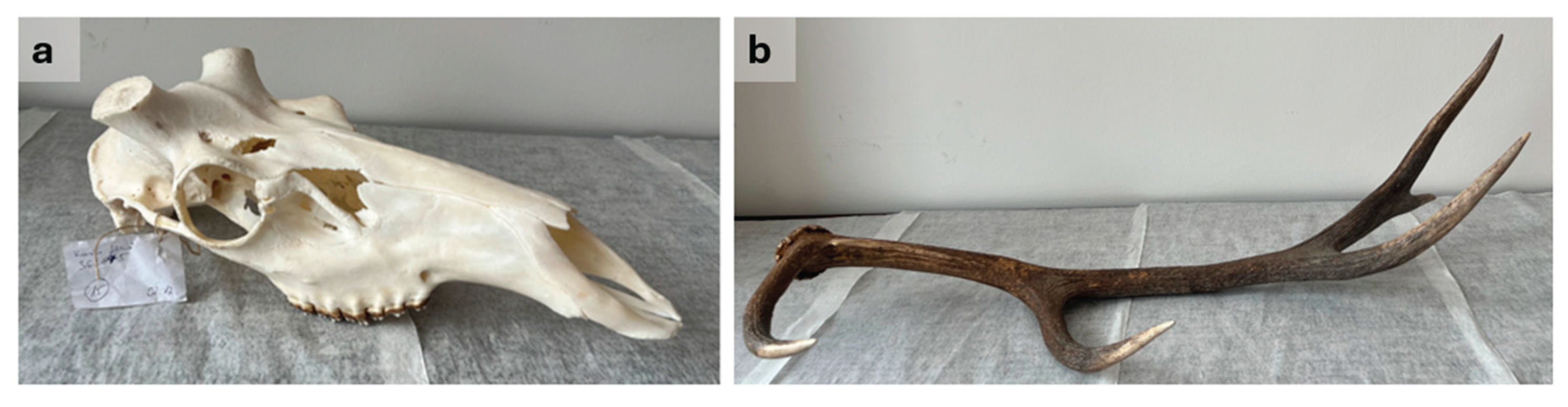 Preprints 174661 g002