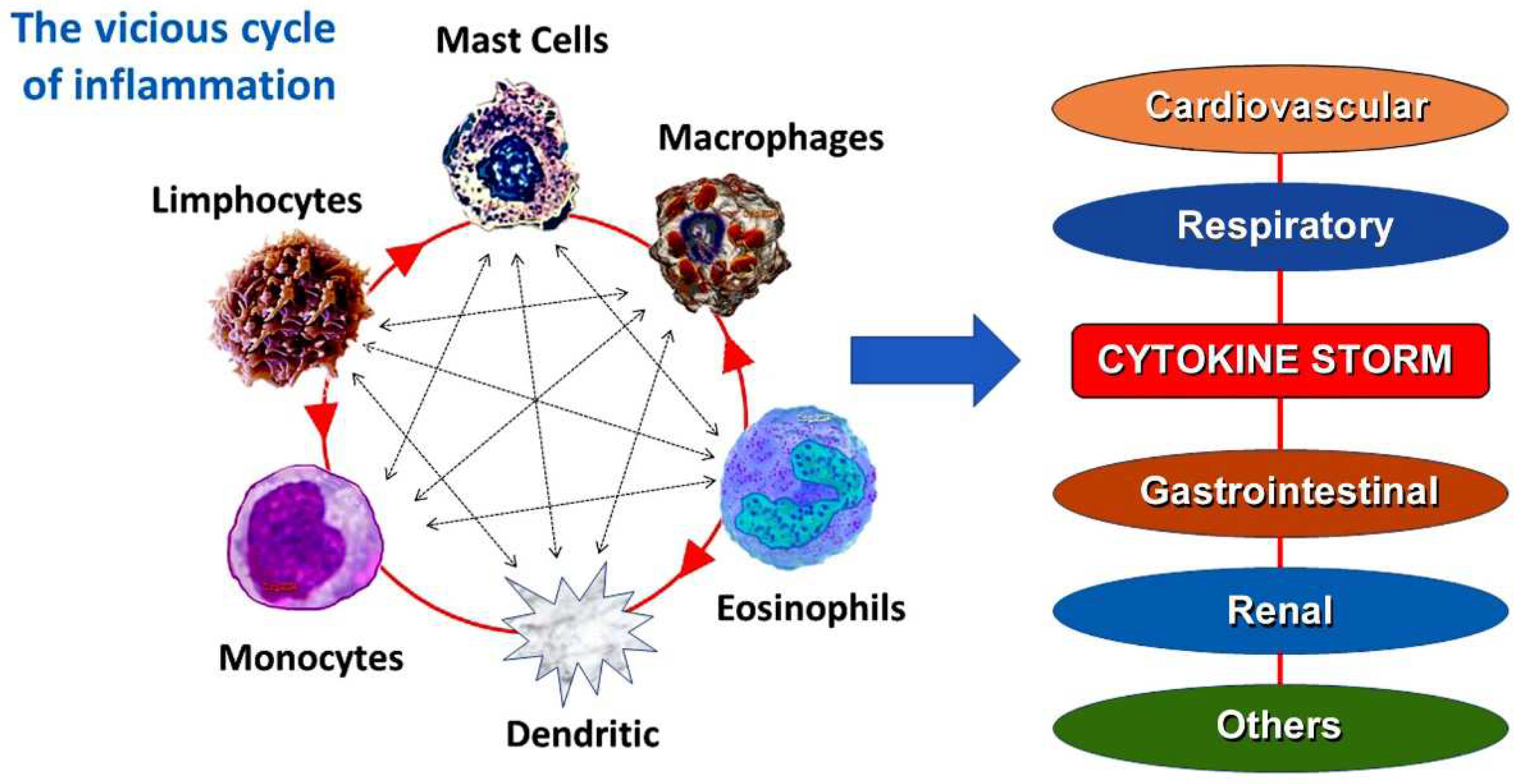 Preprints 146547 g001