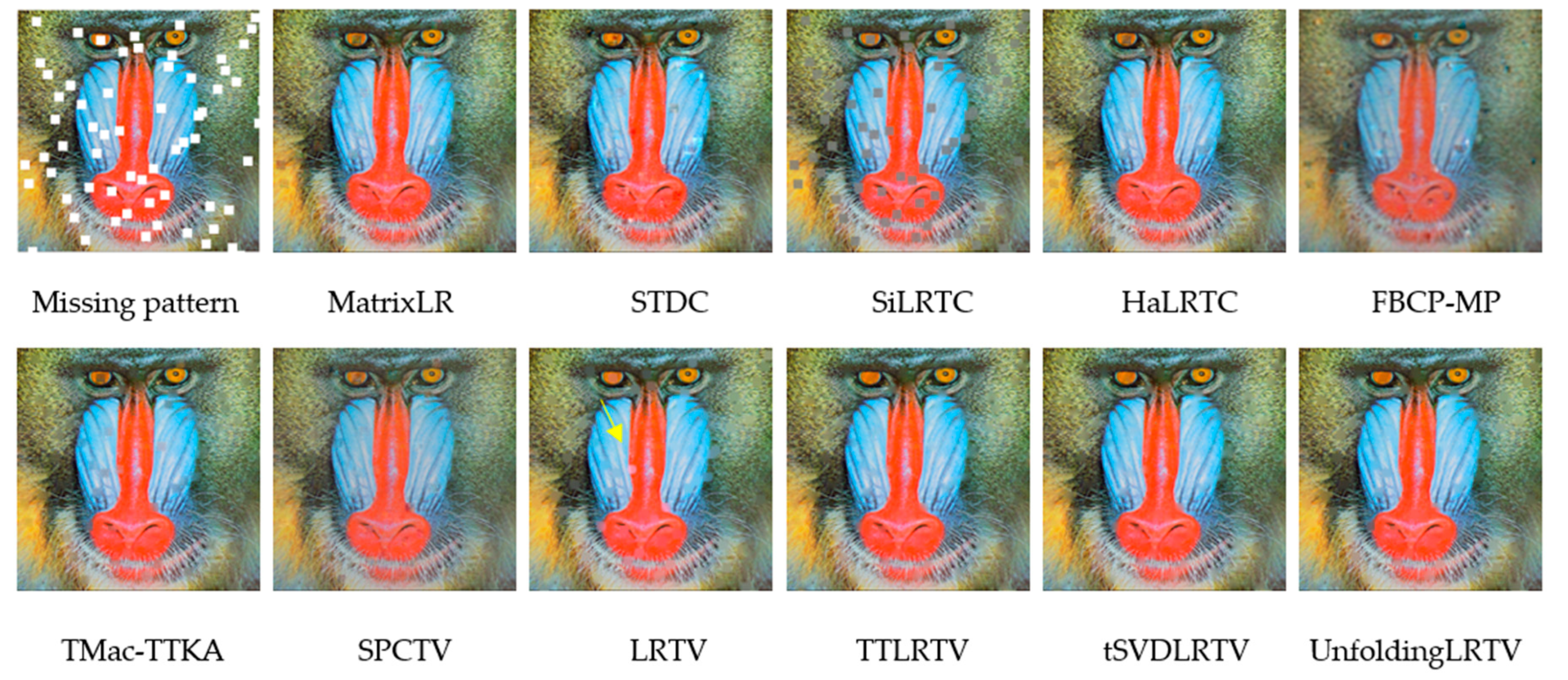 Preprints 88516 g012