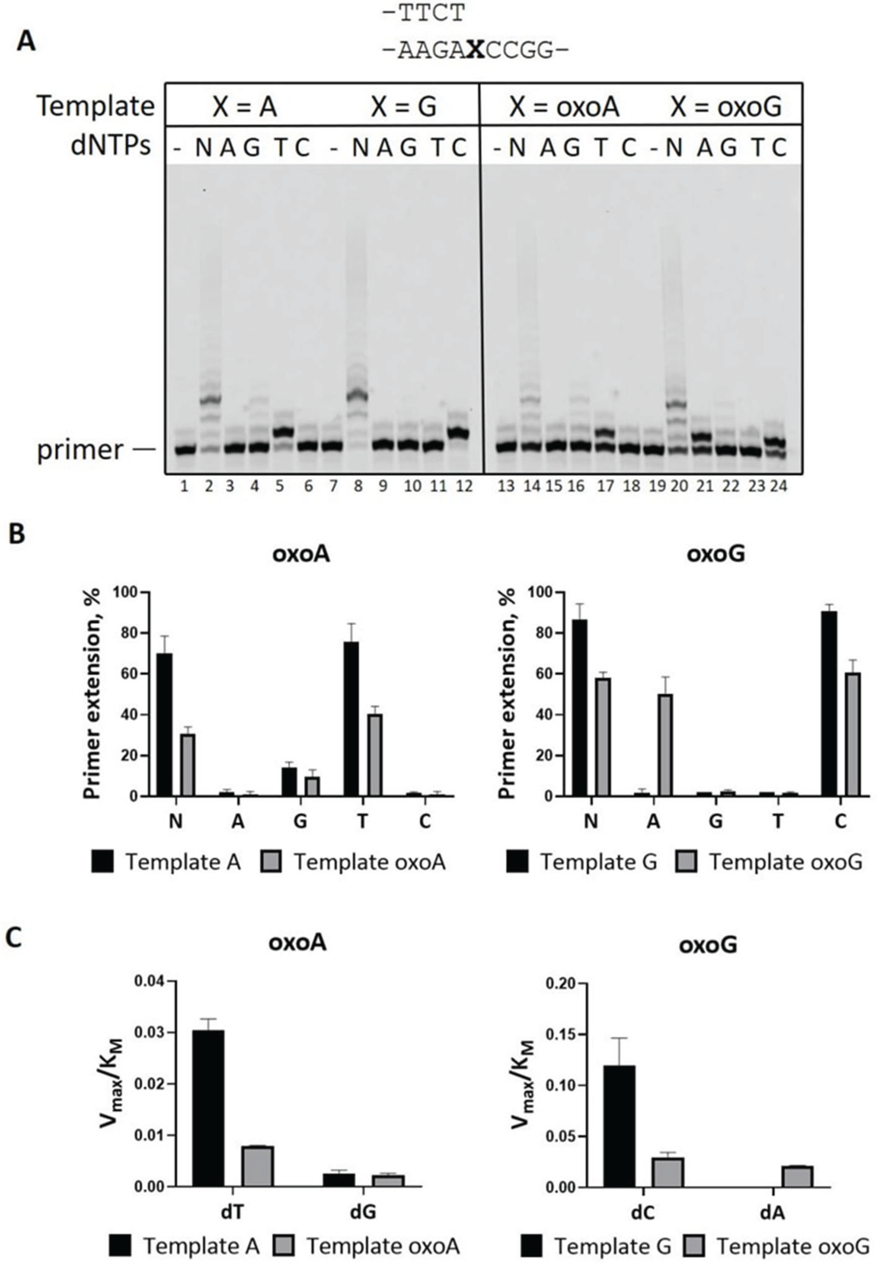 Preprints 161772 g001