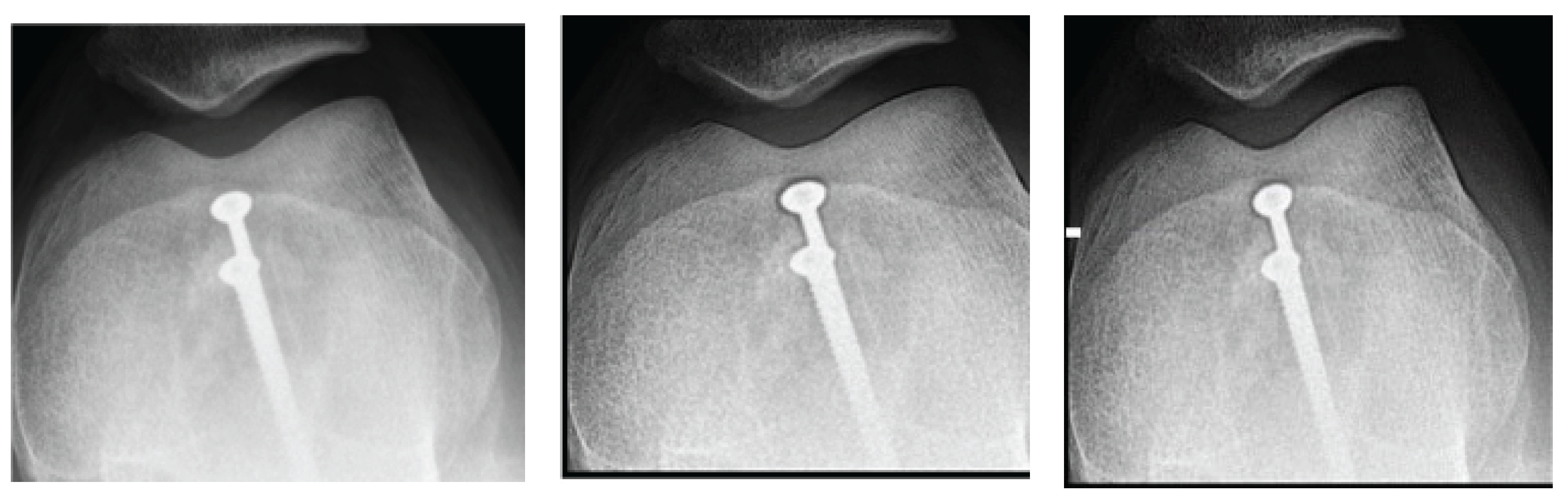 Preprints 167246 g001