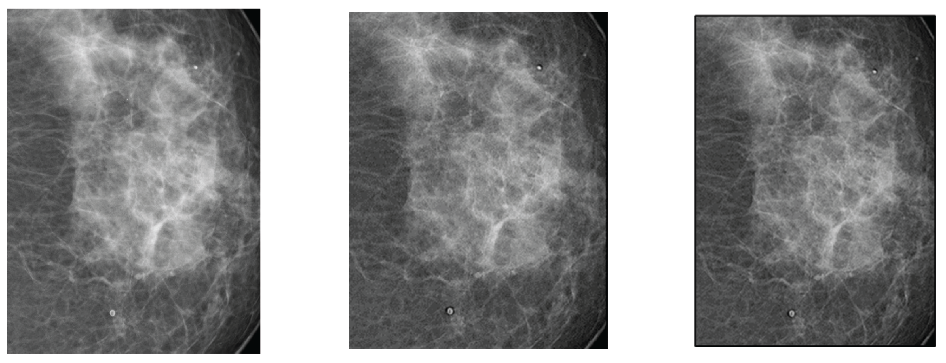 Preprints 167246 g004