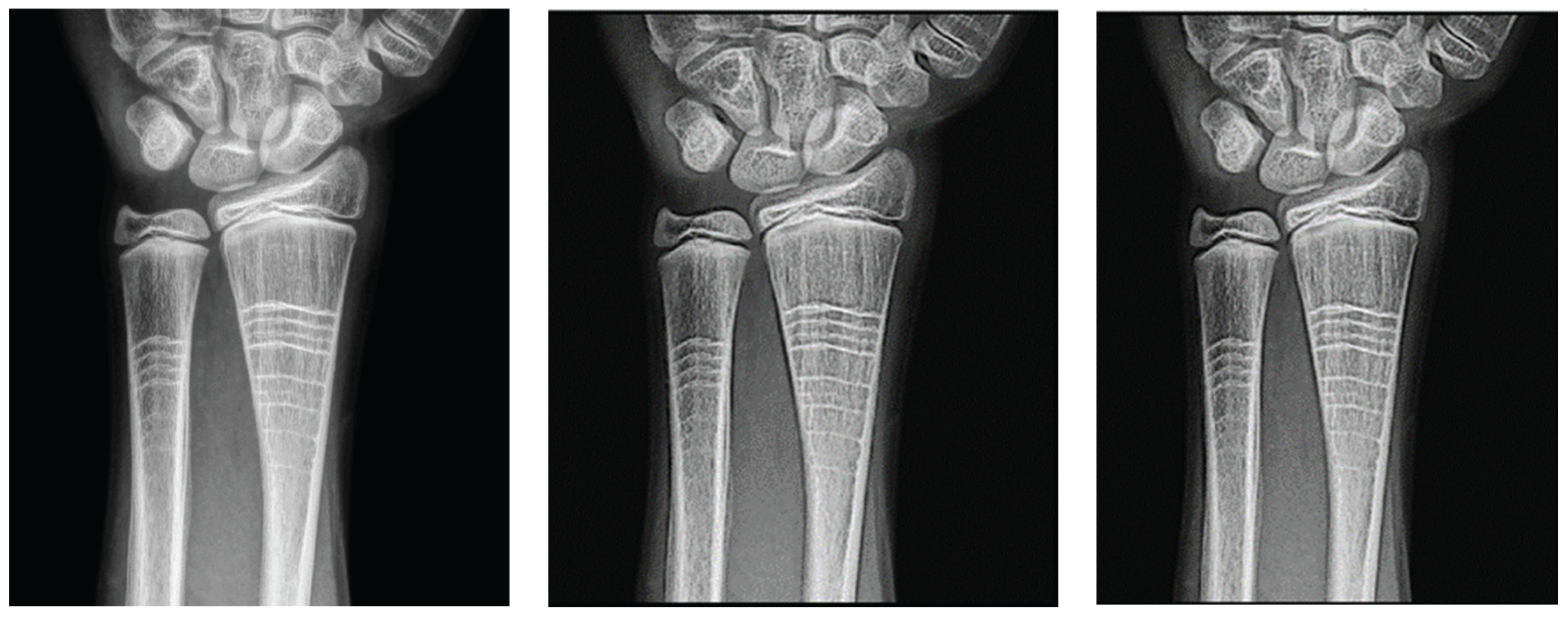 Preprints 167246 g007