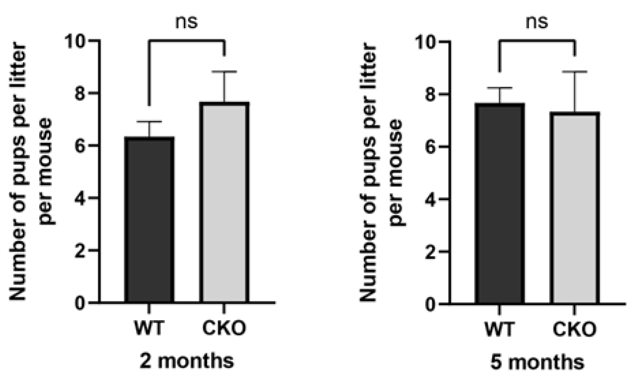 Preprints 156115 g001