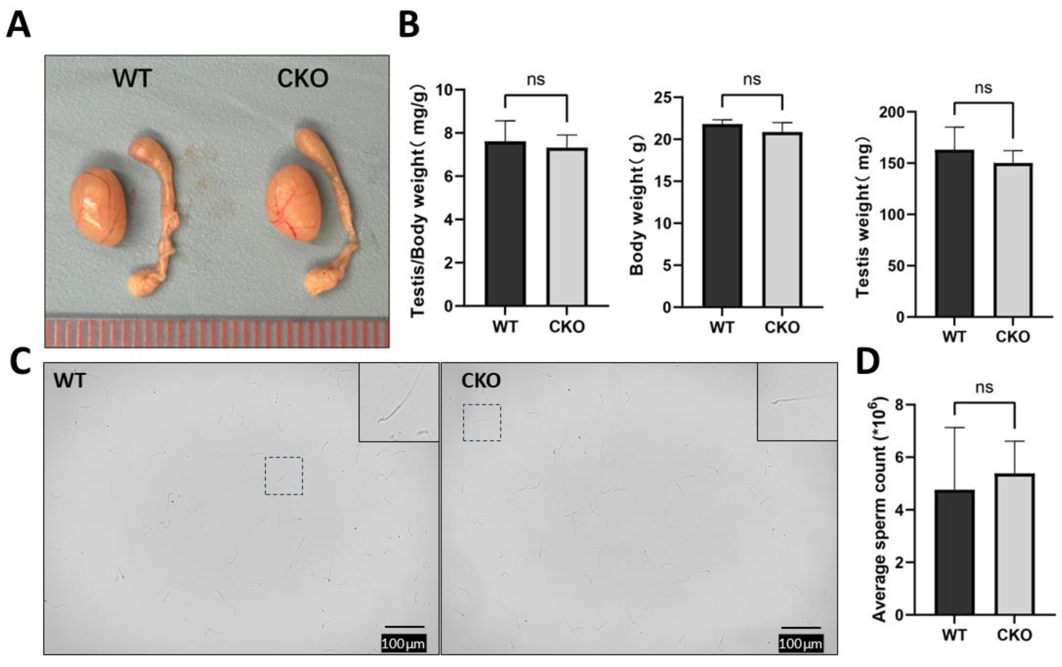 Preprints 156115 g002