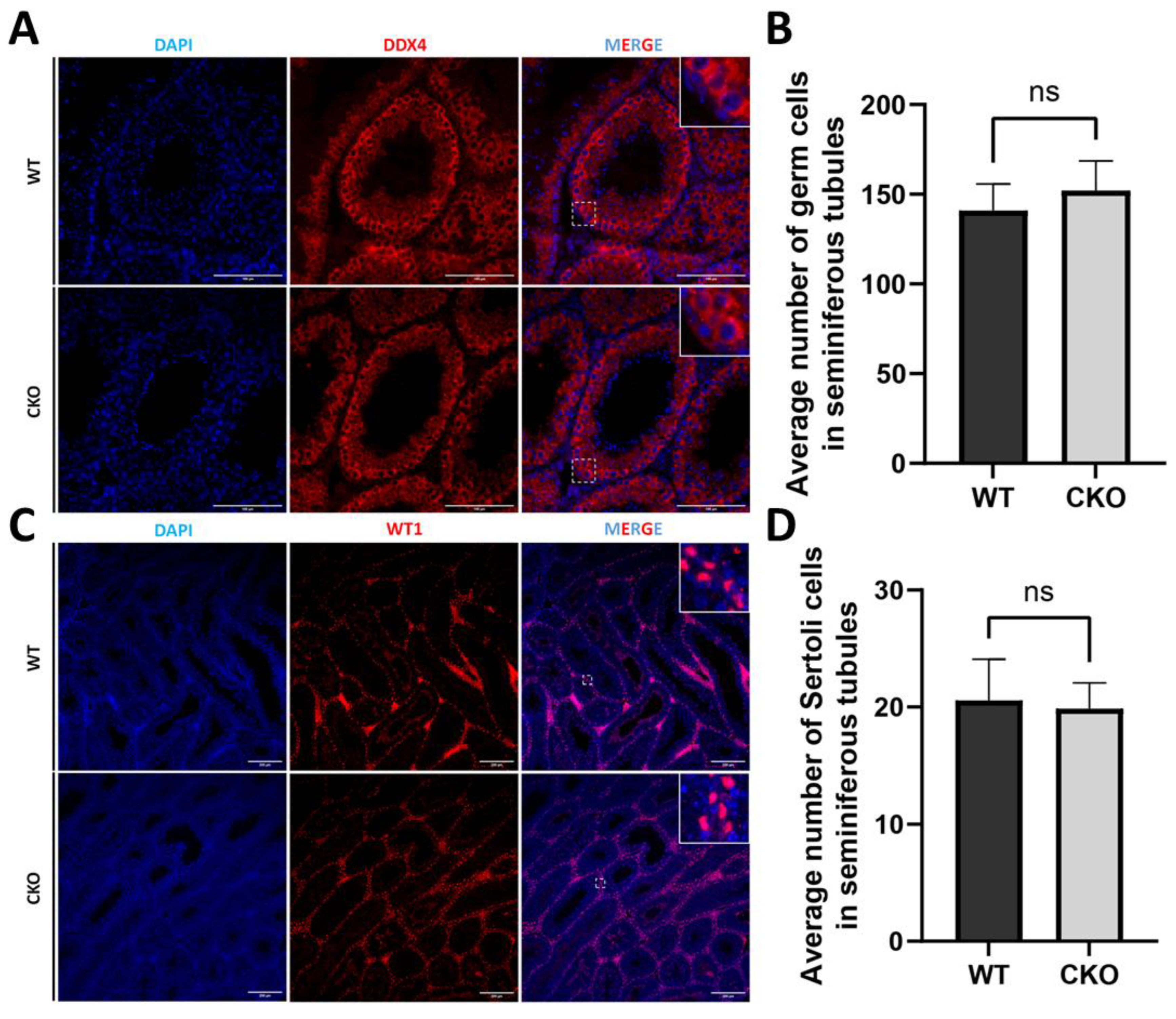 Preprints 156115 g004