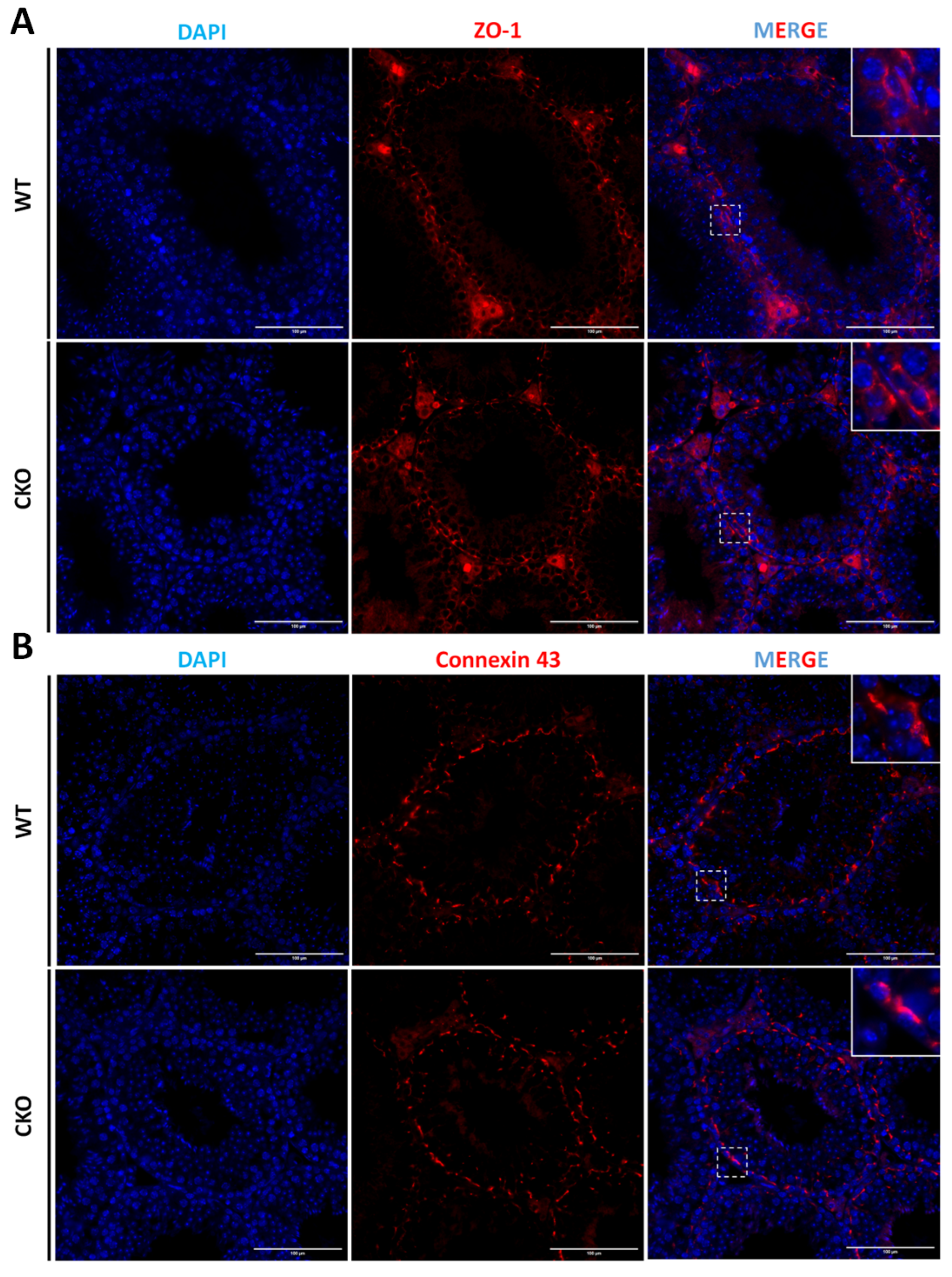 Preprints 156115 g005