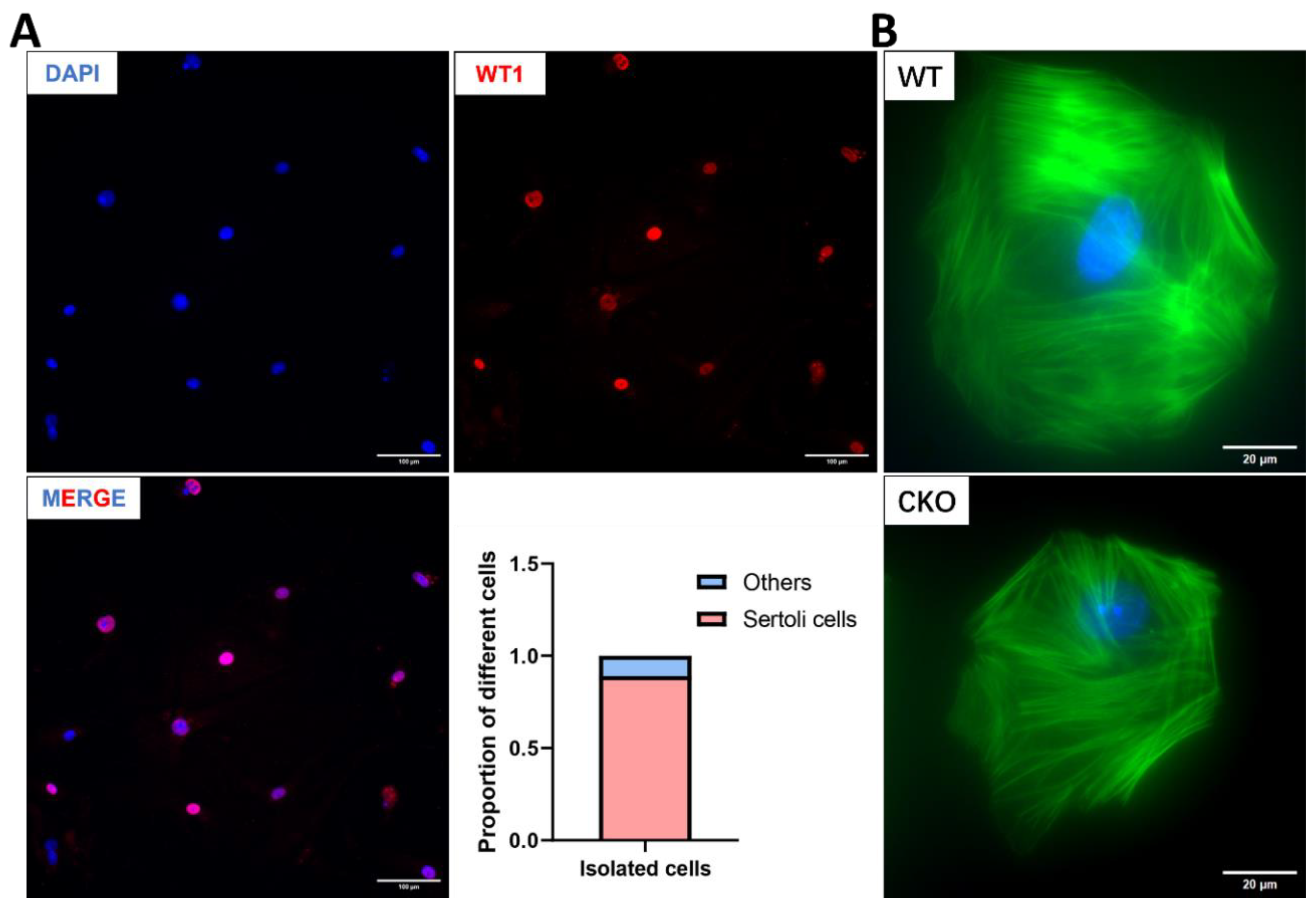 Preprints 156115 g006