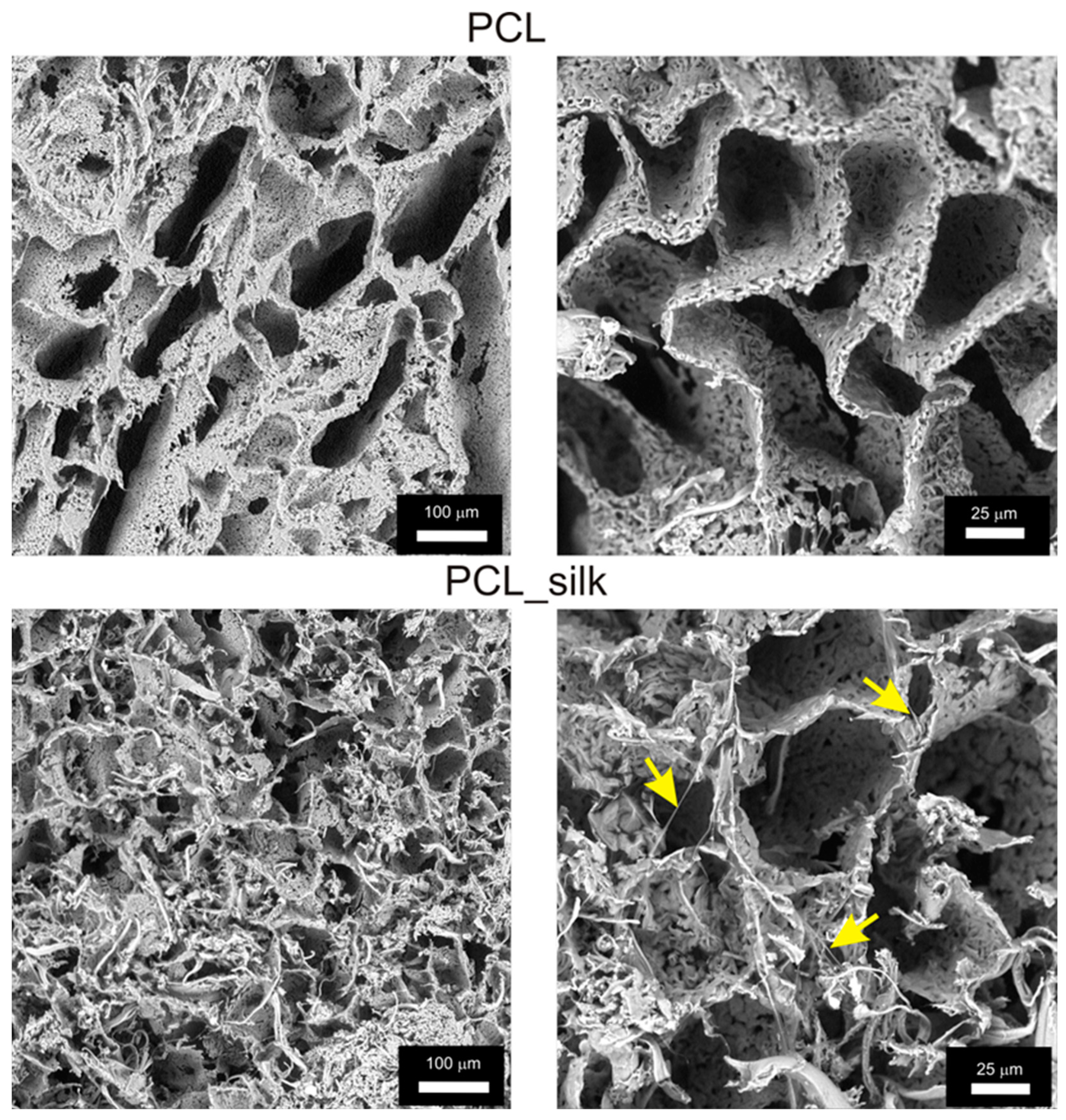 Preprints 153405 g002