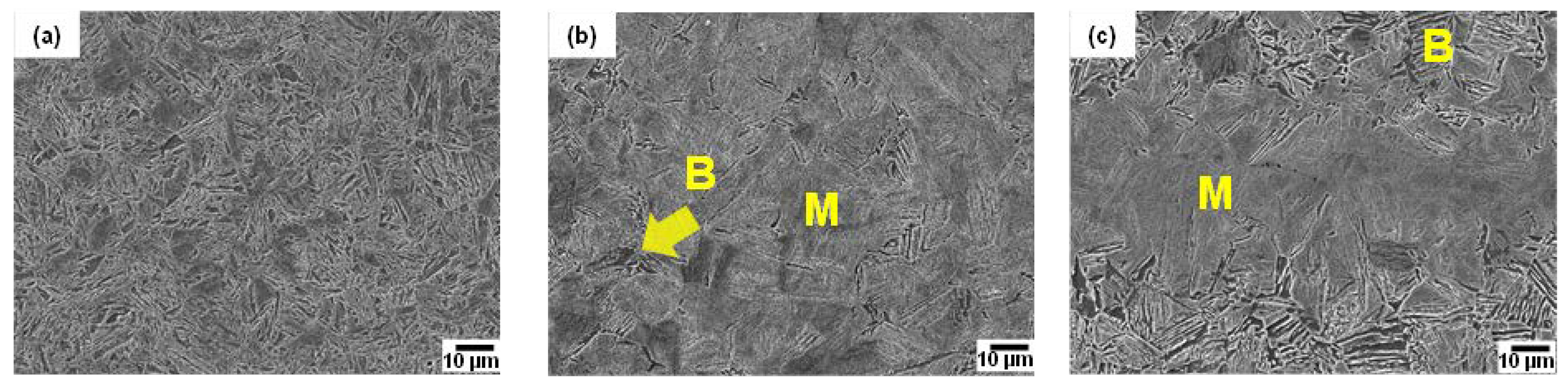 Preprints 75654 g002