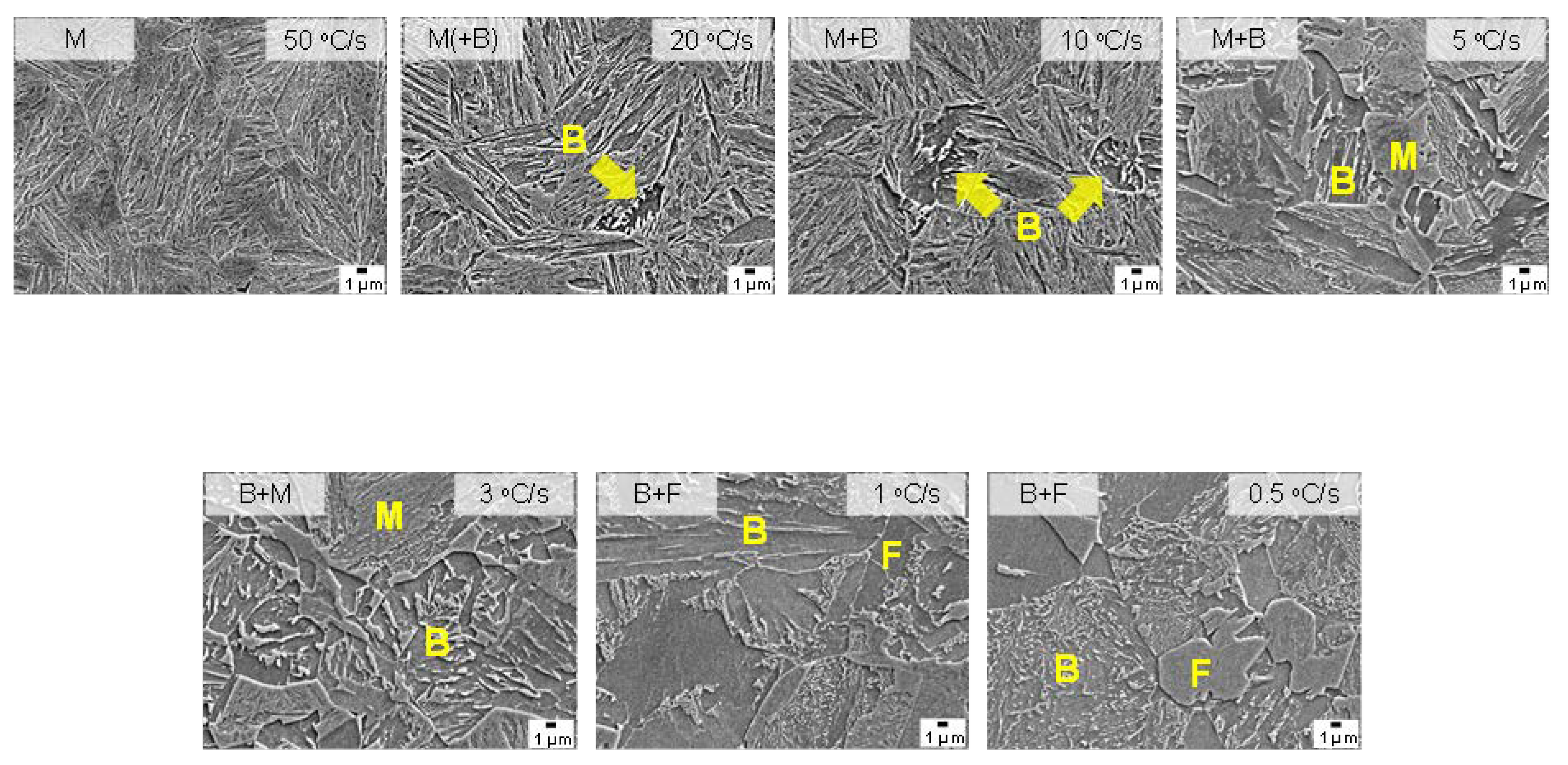 Preprints 75654 g005