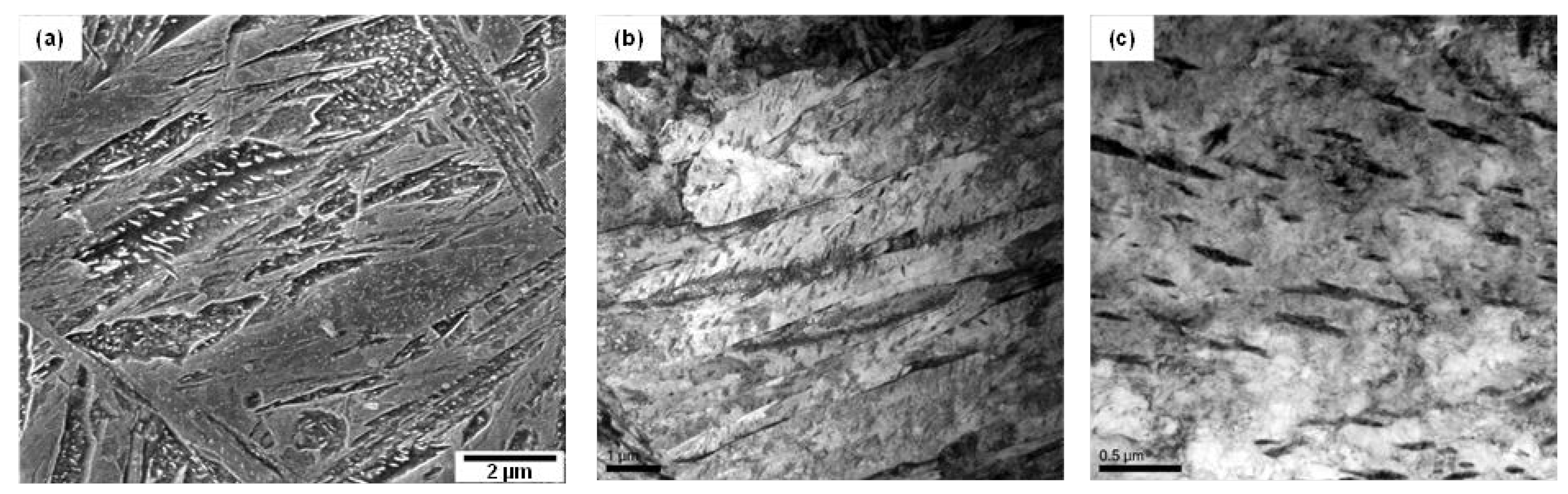 Preprints 75654 g006