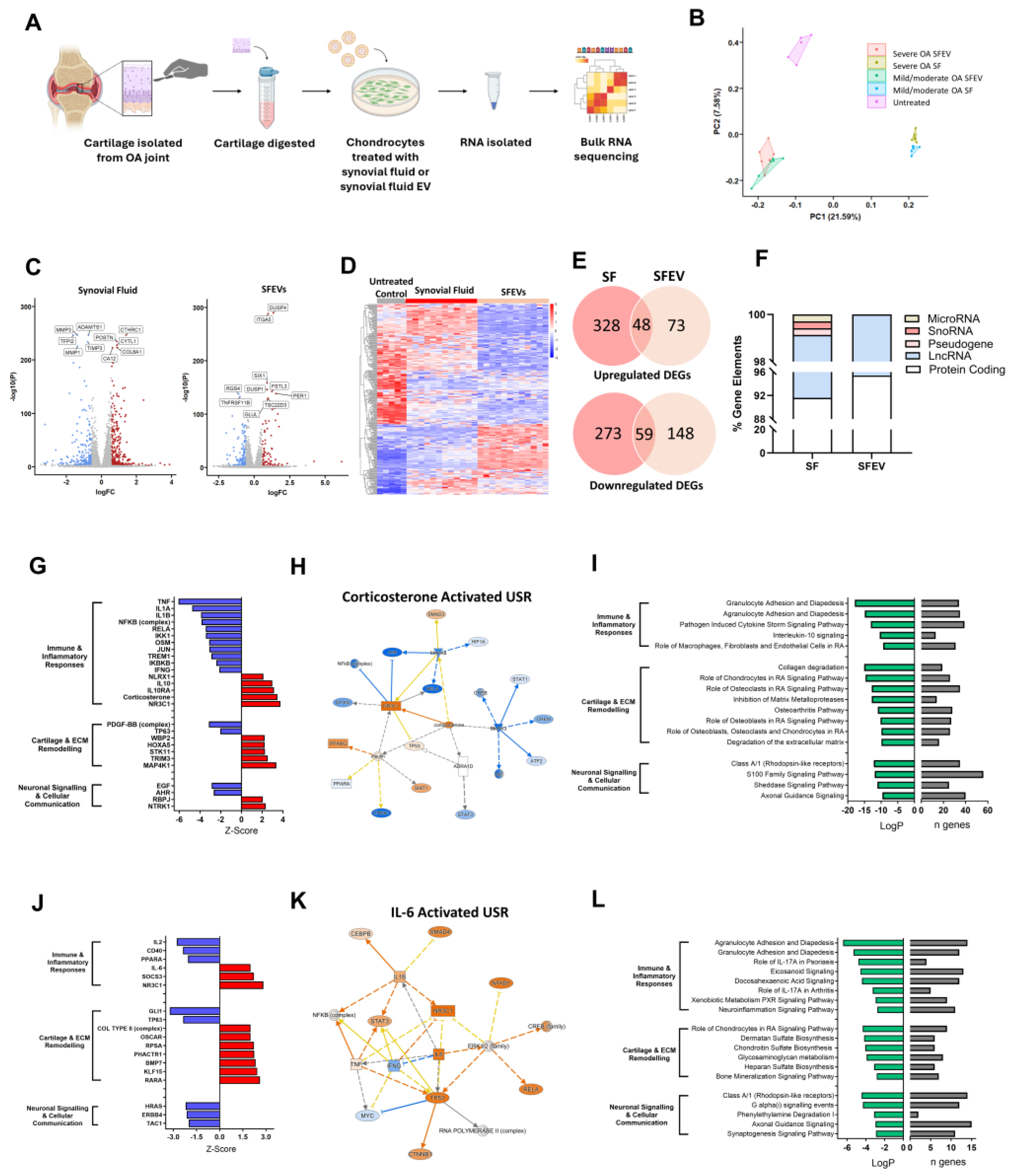 Preprints 153475 g002