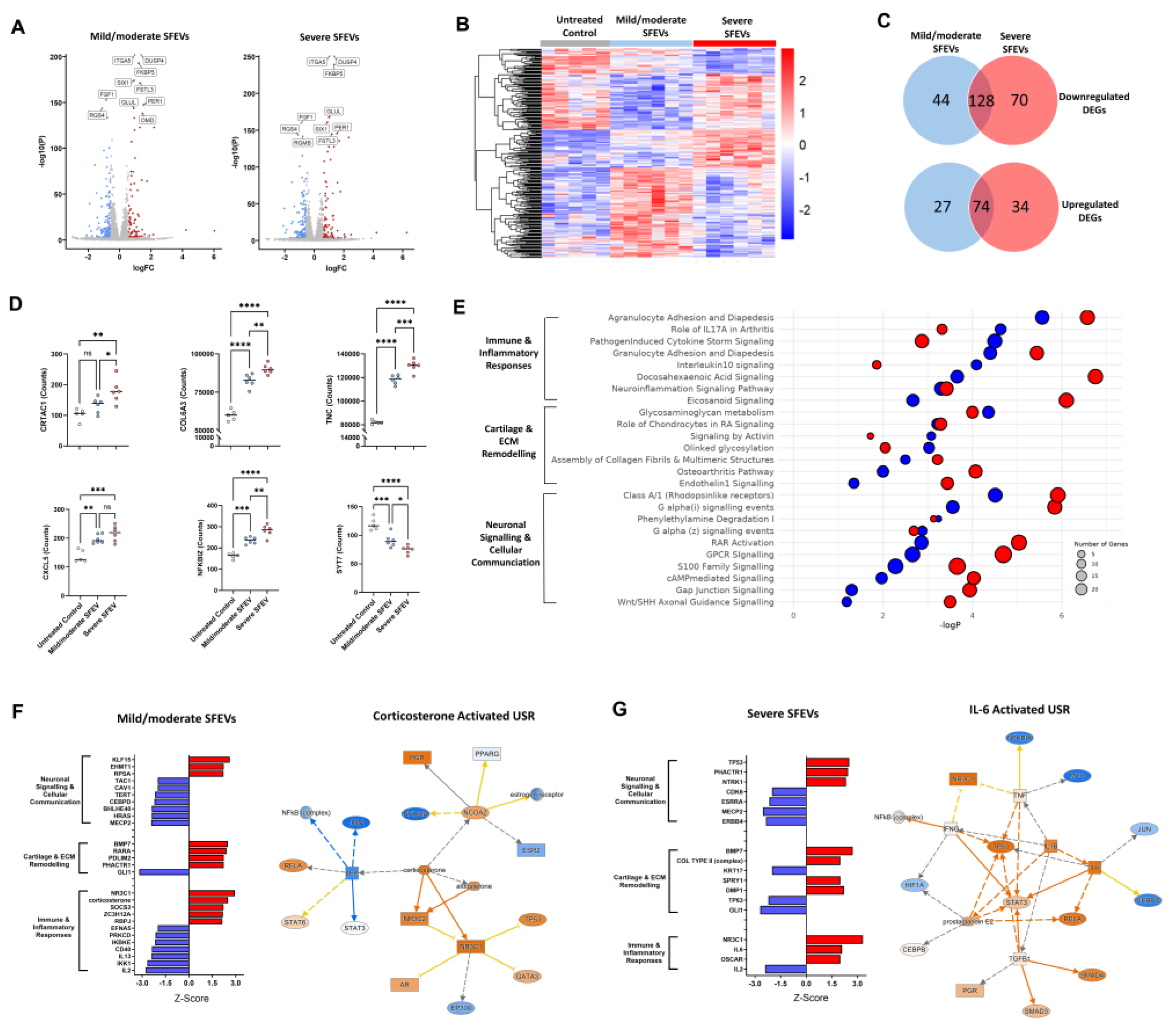 Preprints 153475 g003