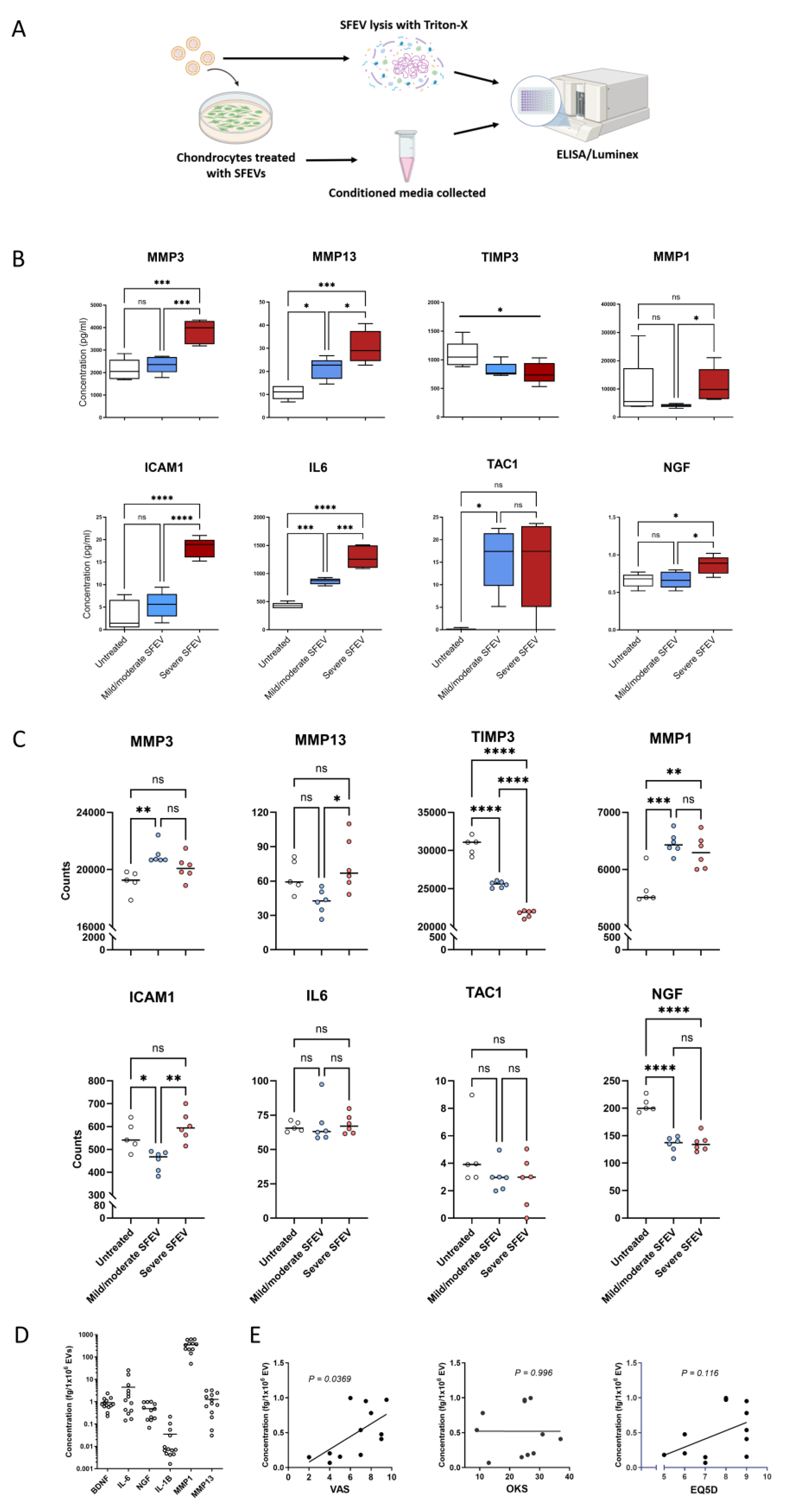 Preprints 153475 g004