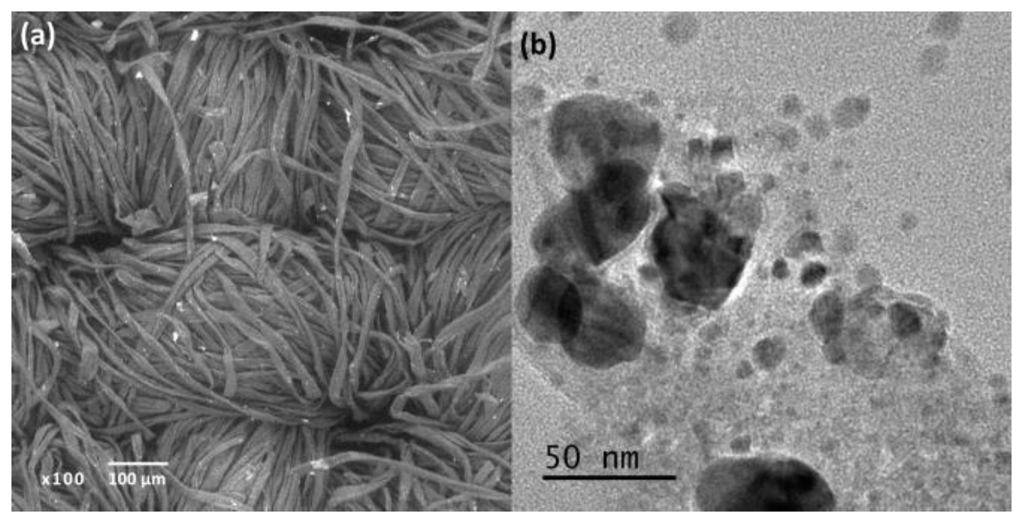 Preprints 195456 g001
