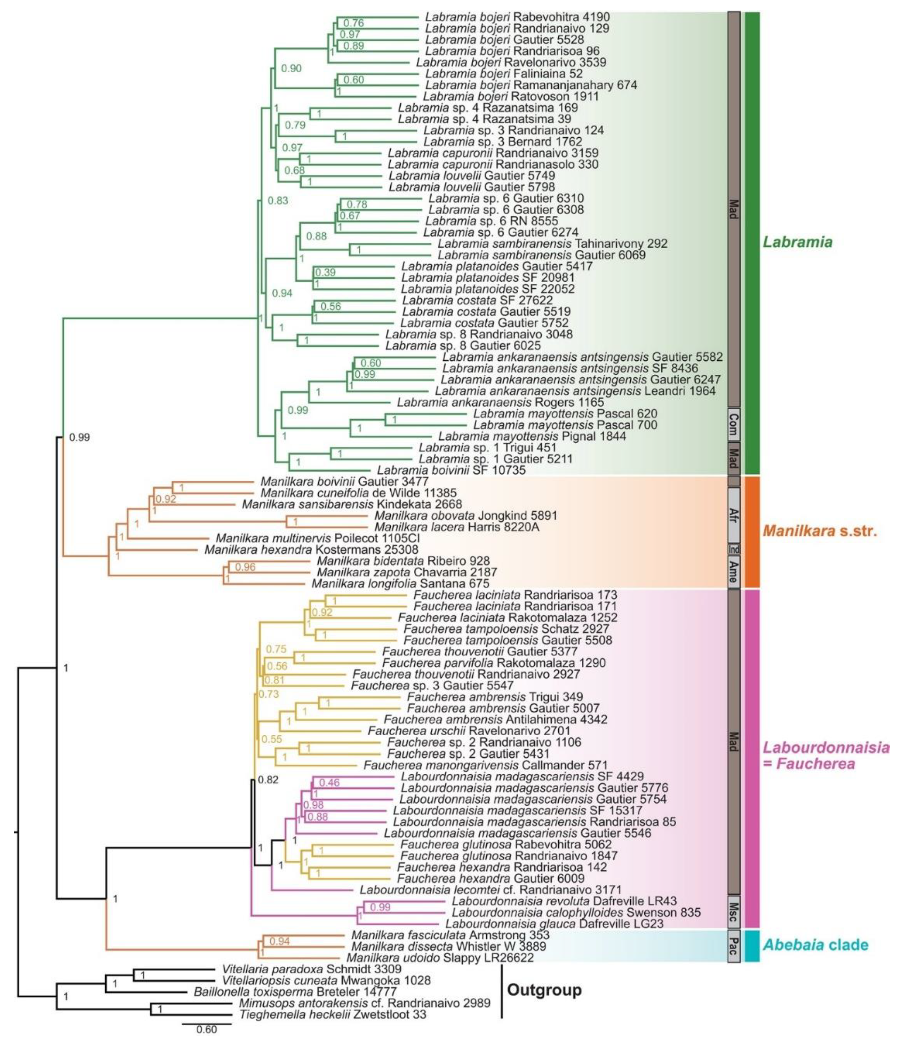 Preprints 201331 g005