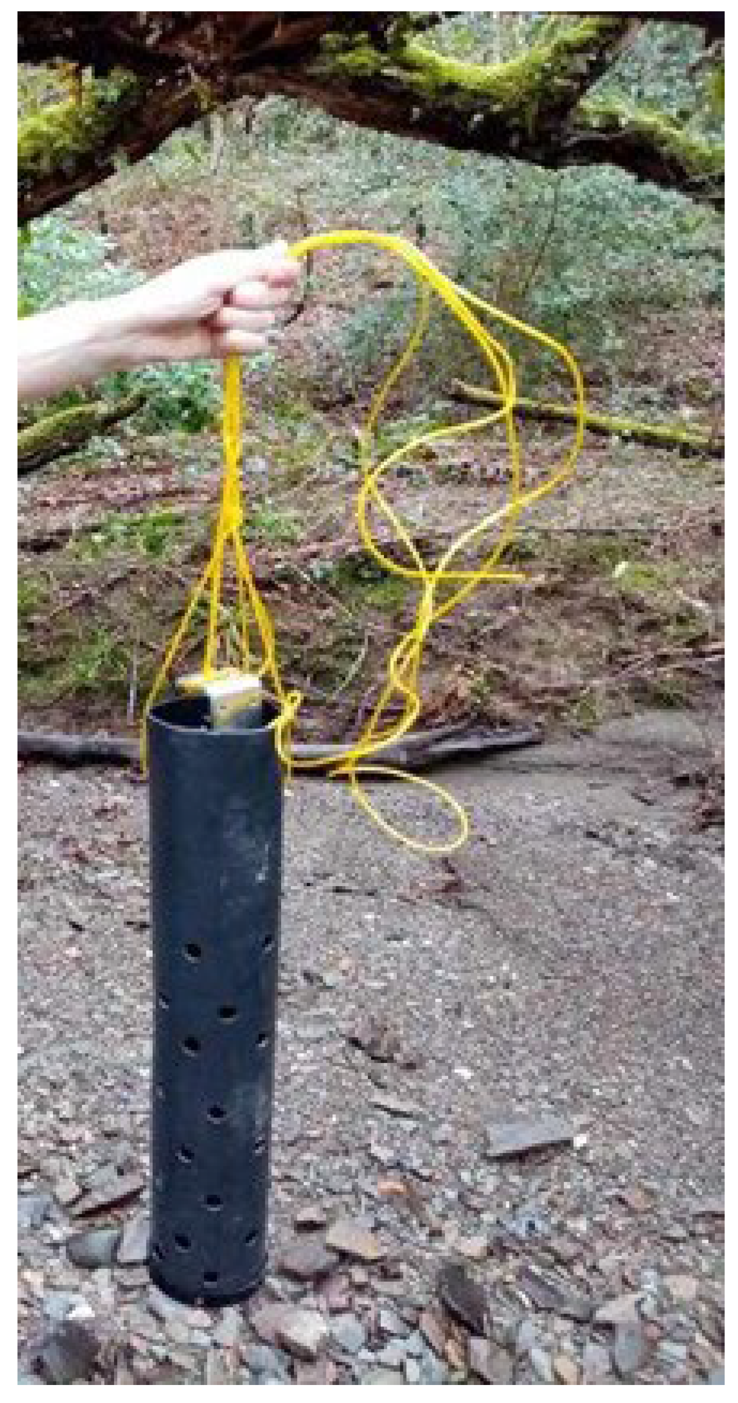 Preprints 172002 g004