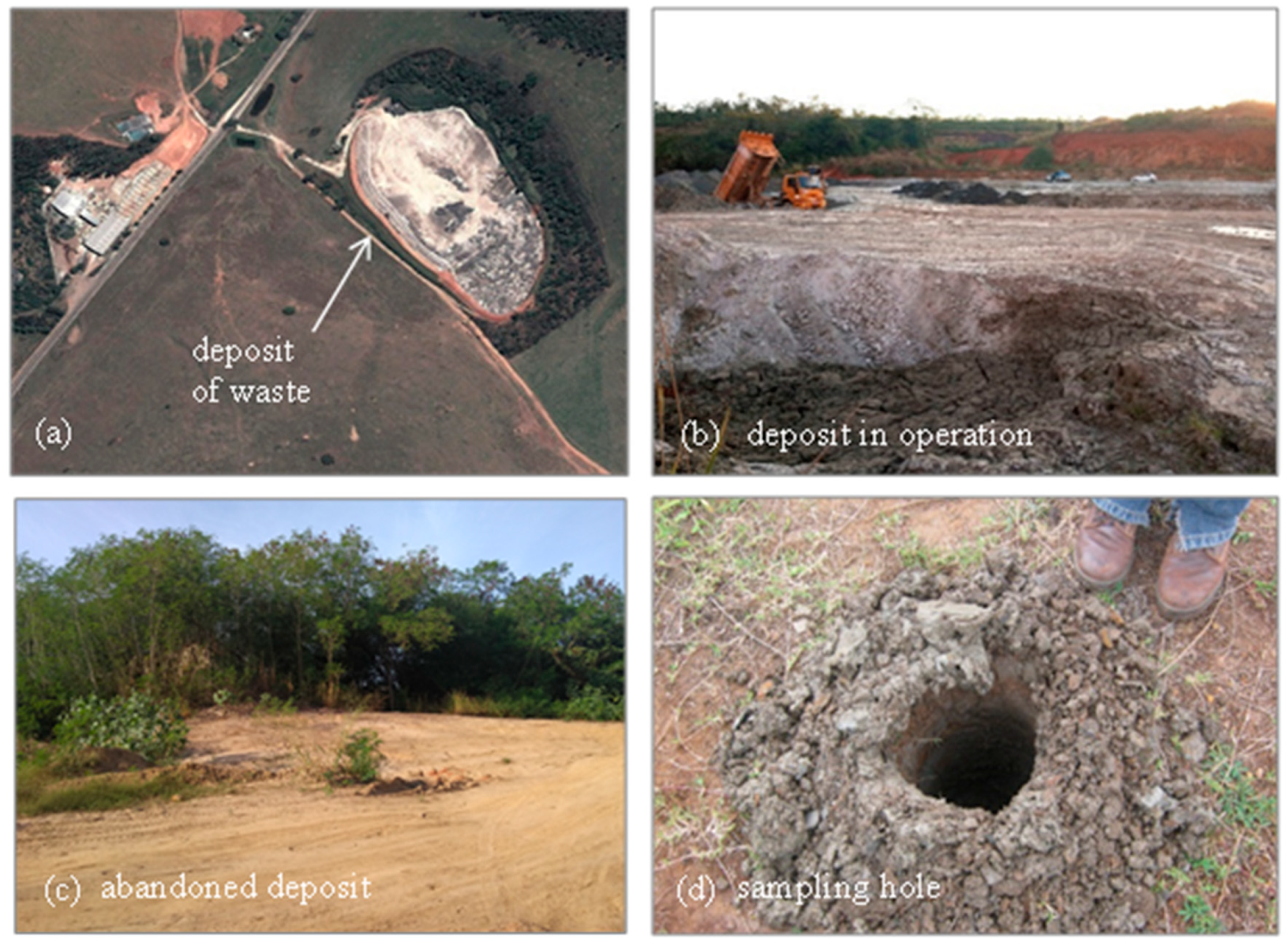 Preprints 157591 g001