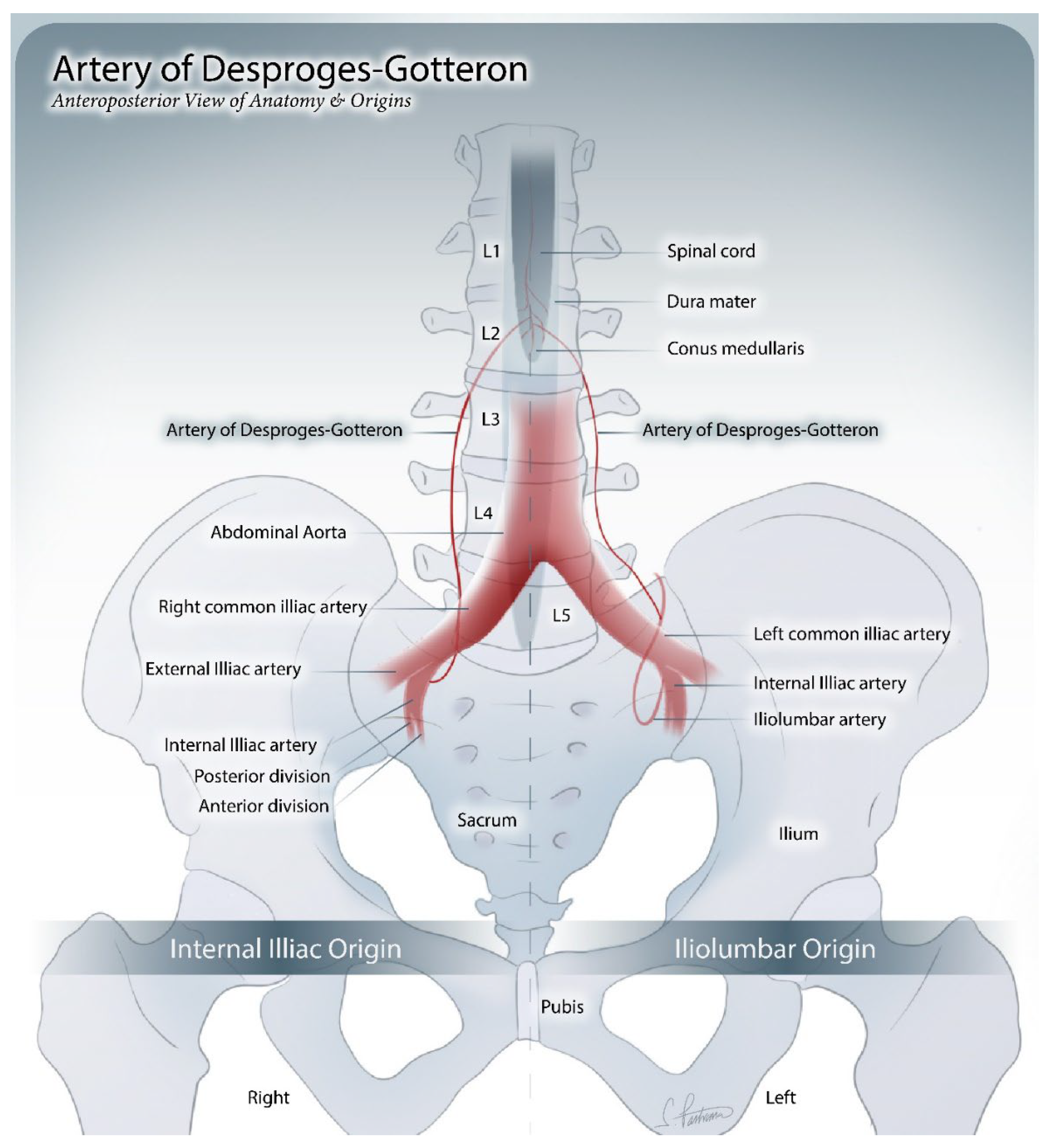 Preprints 174542 g001