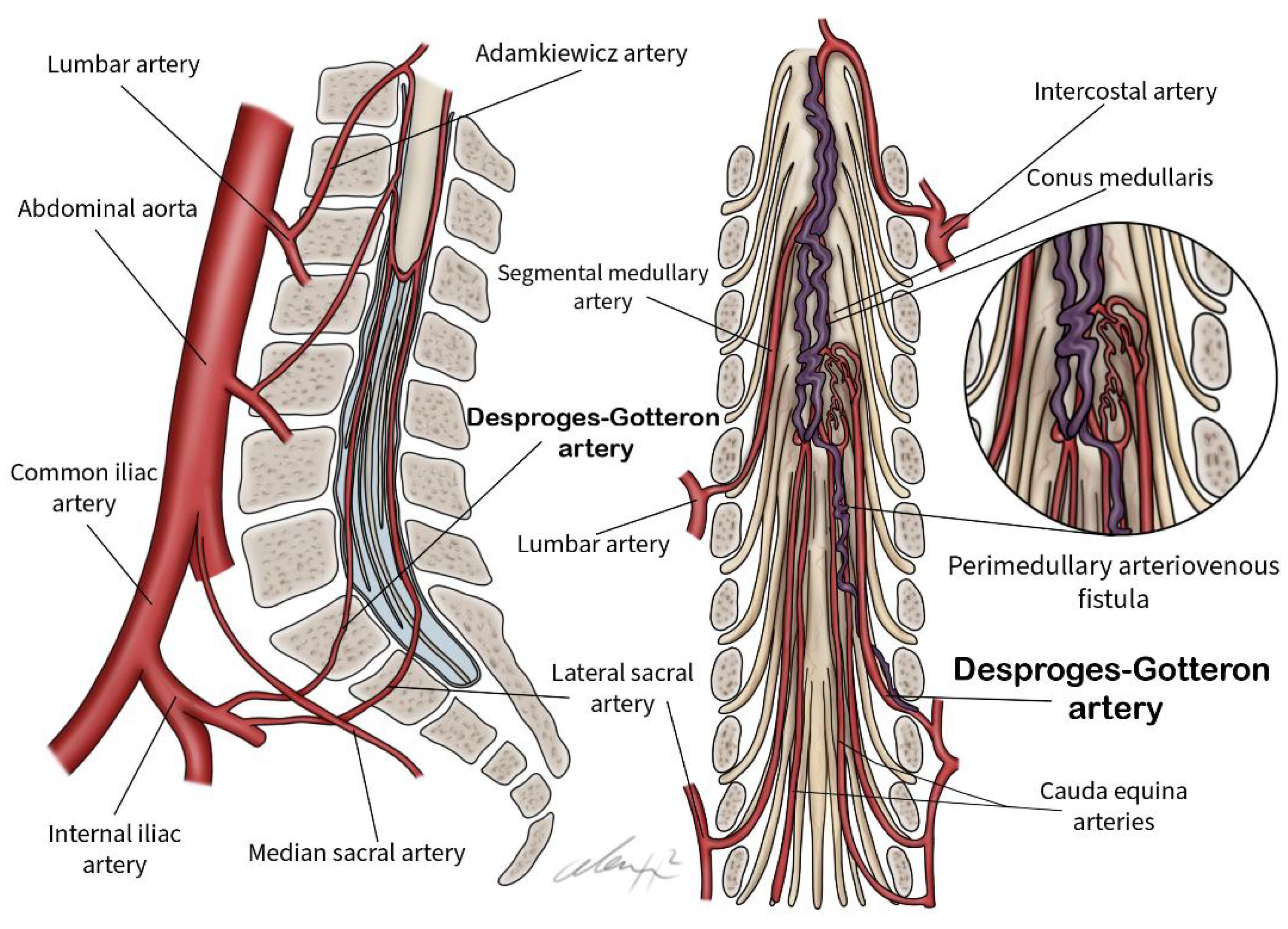 Preprints 174542 g002