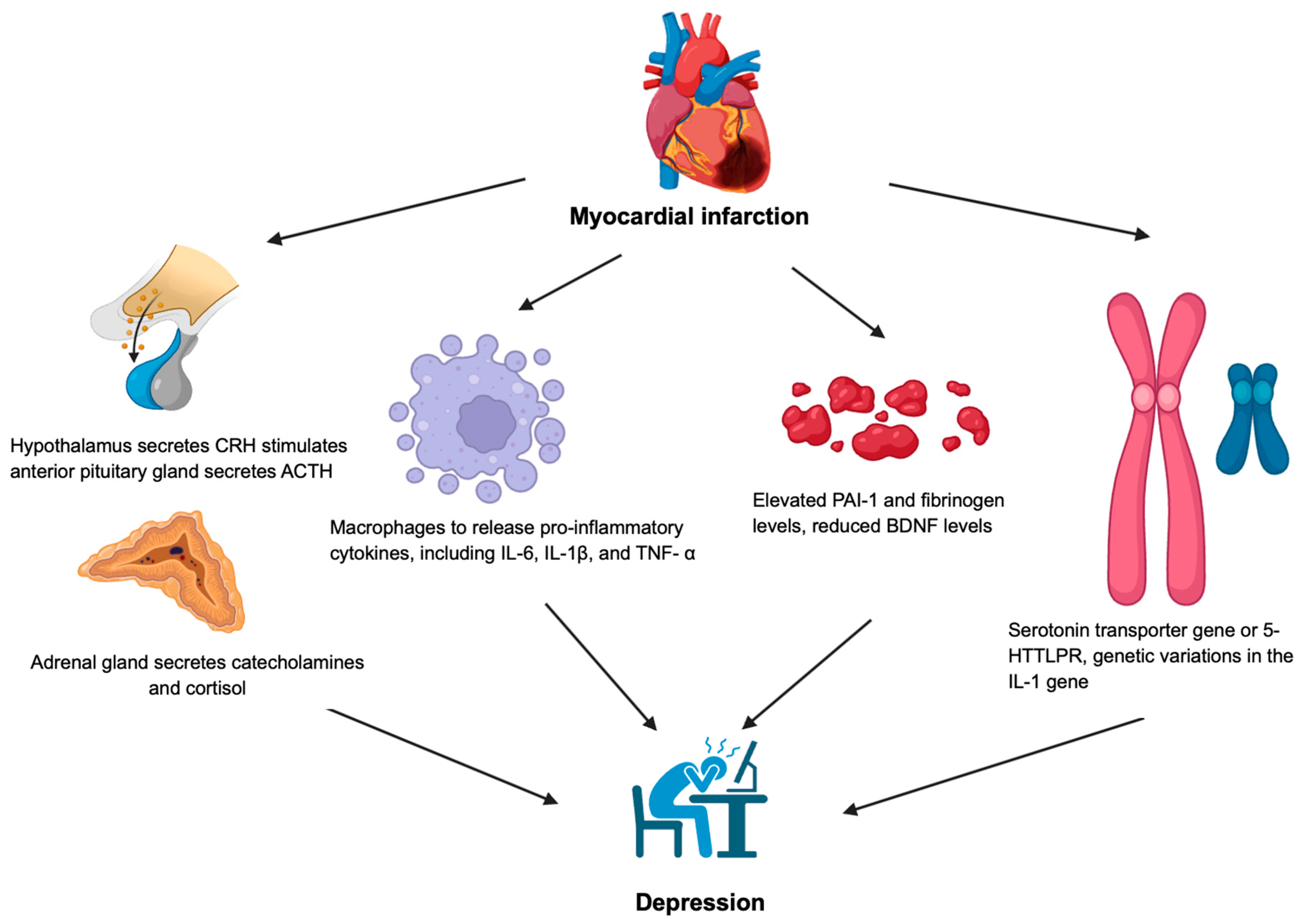 Preprints 148715 g001