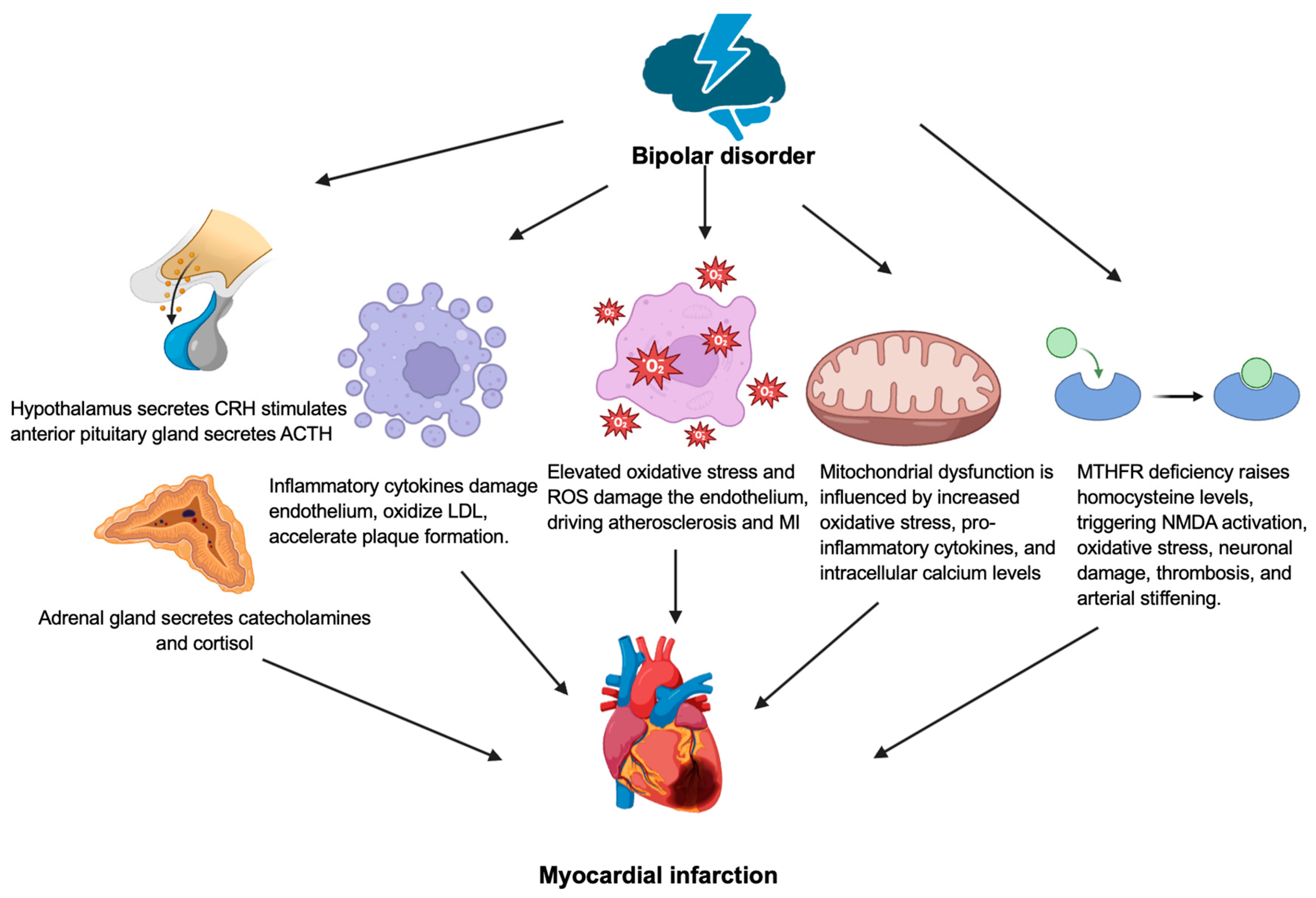 Preprints 148715 g002