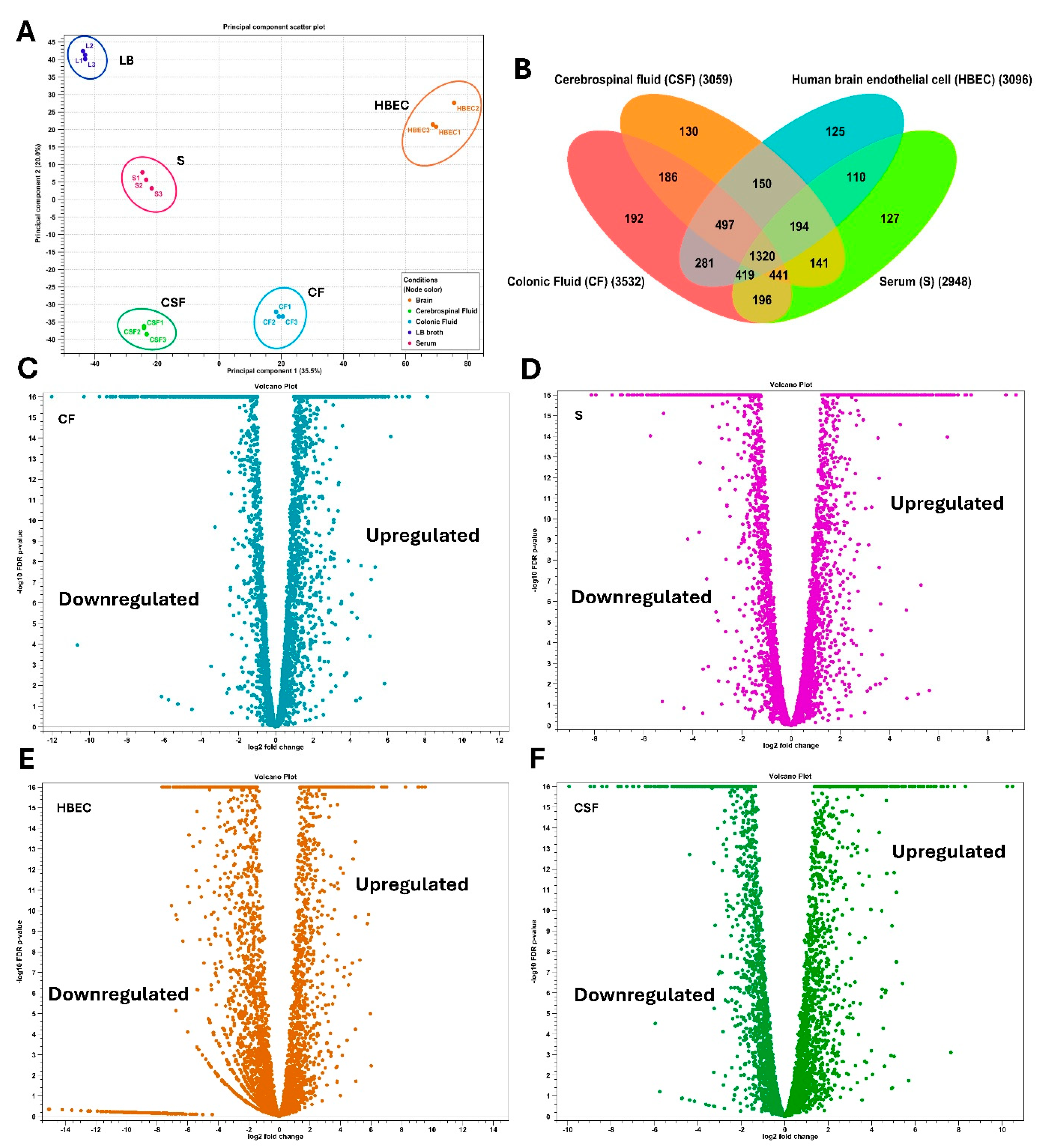 Preprints 155669 g002