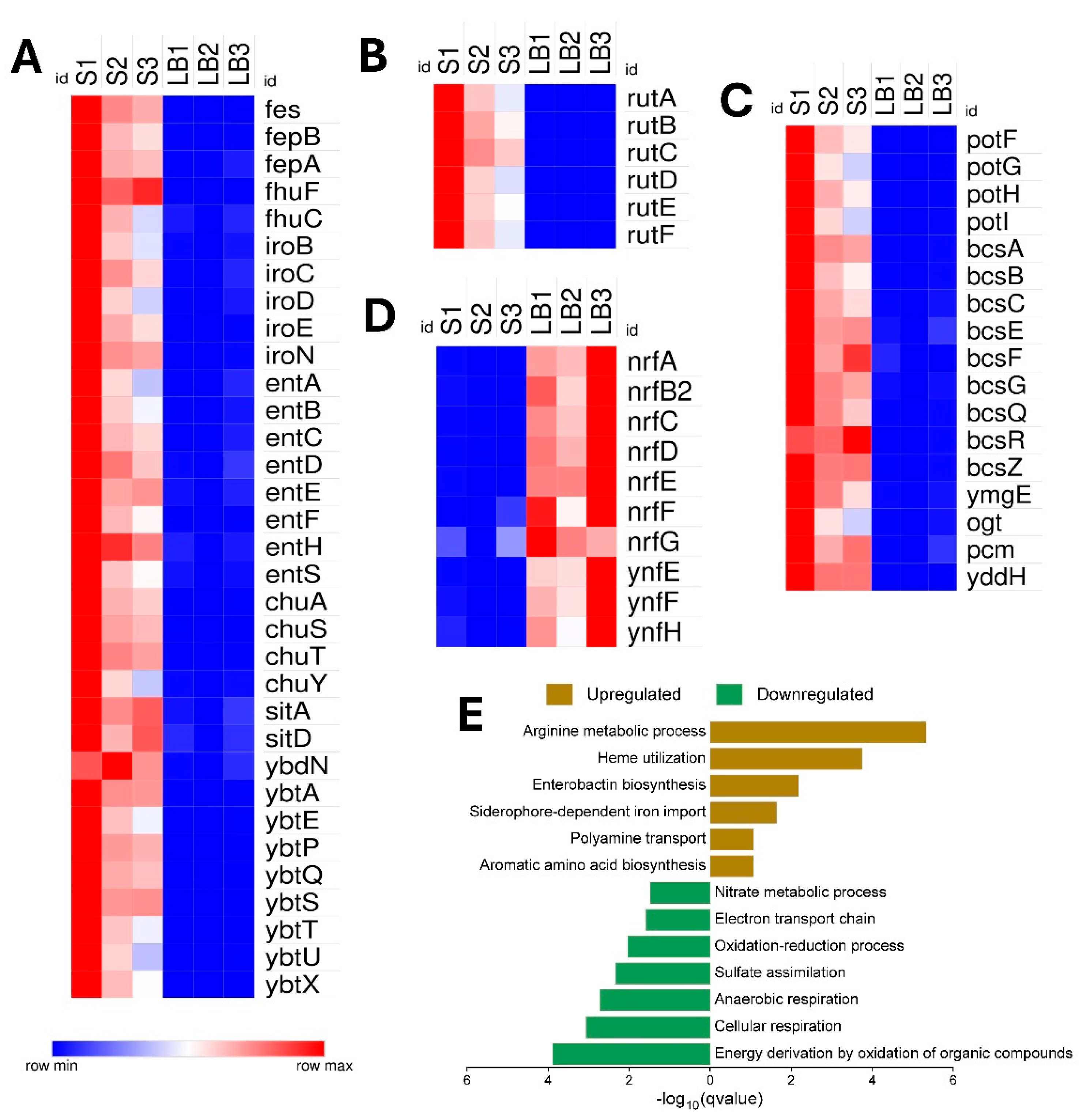 Preprints 155669 g004